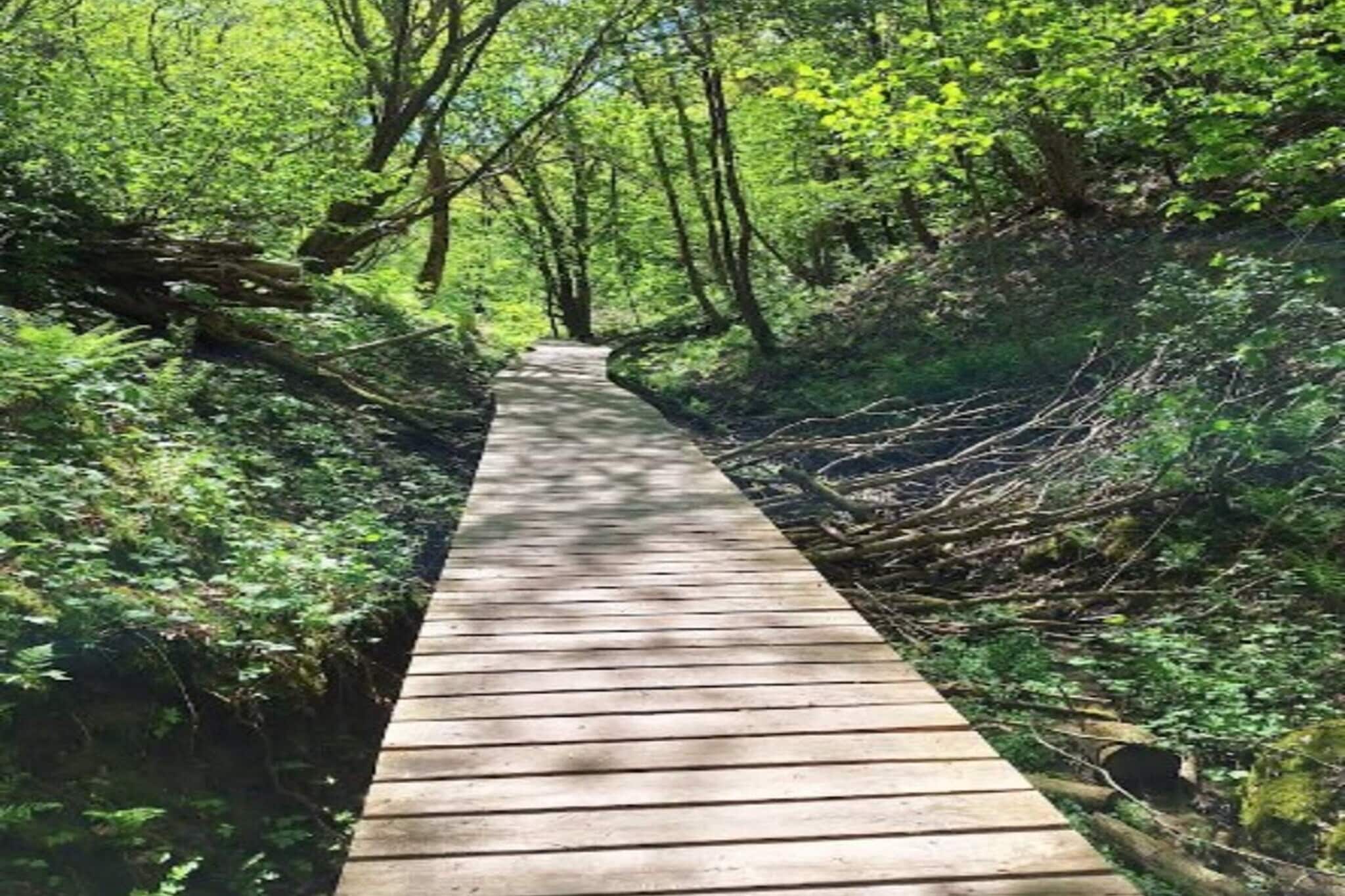 Maison de vacances pour 7 a Væggerløse-Extérieur