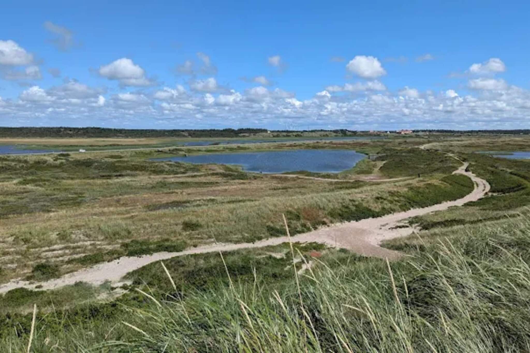 4 sterren vakantie huis in Nørre Nebel-Niet-getagd