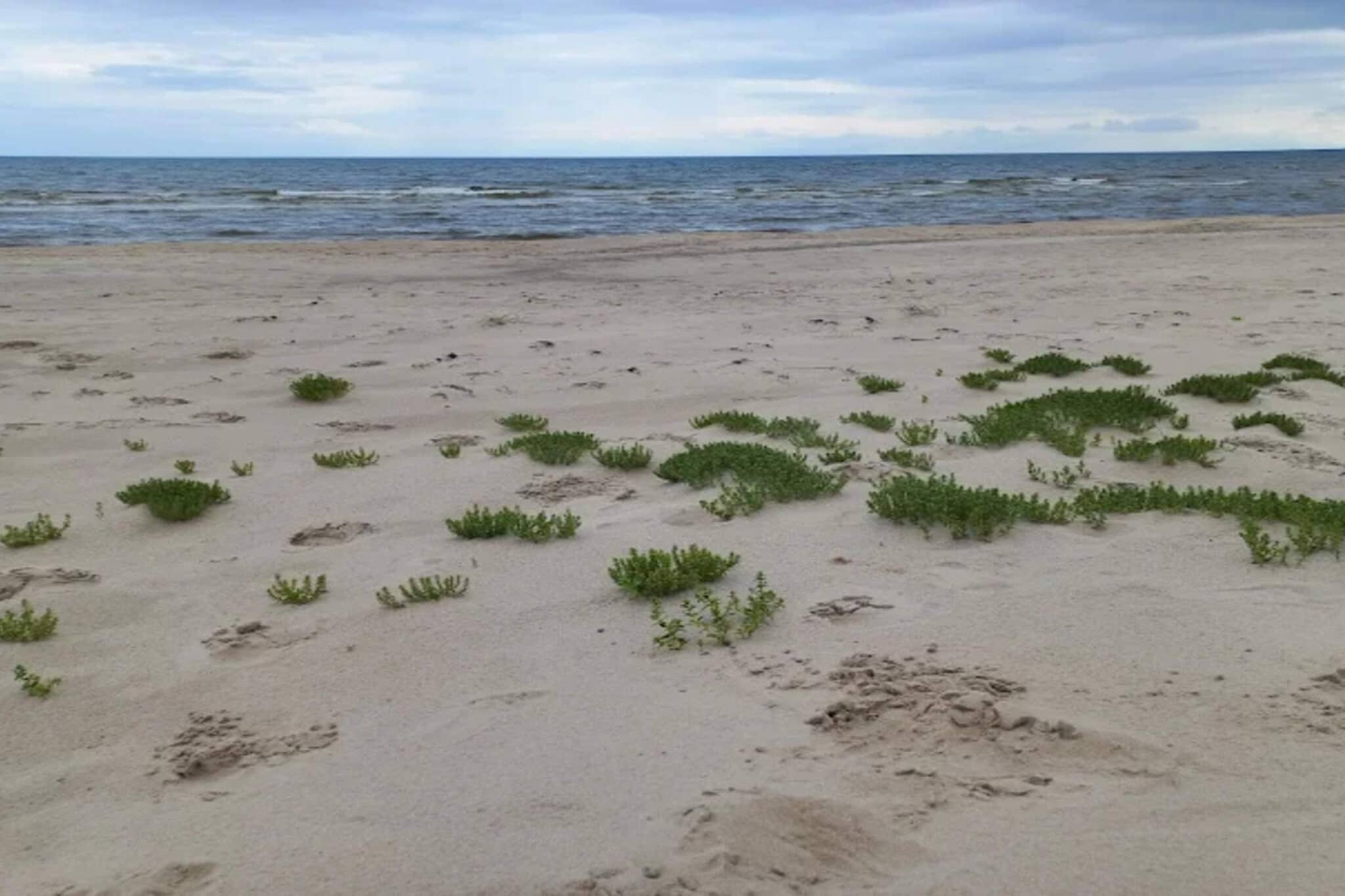 4 sterren vakantie huis in Ålbæk-Waterzicht