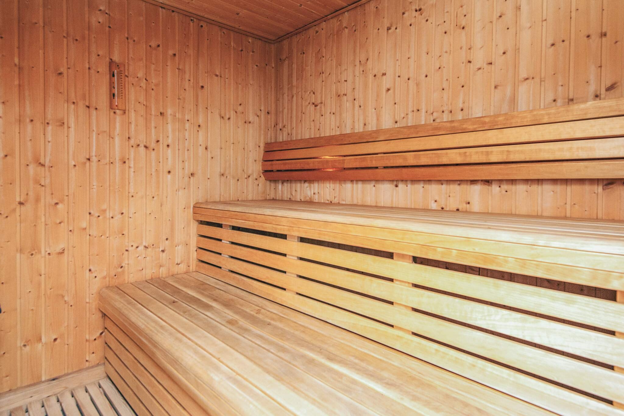 6 Personen vakantie huis in Ansager - Sauna