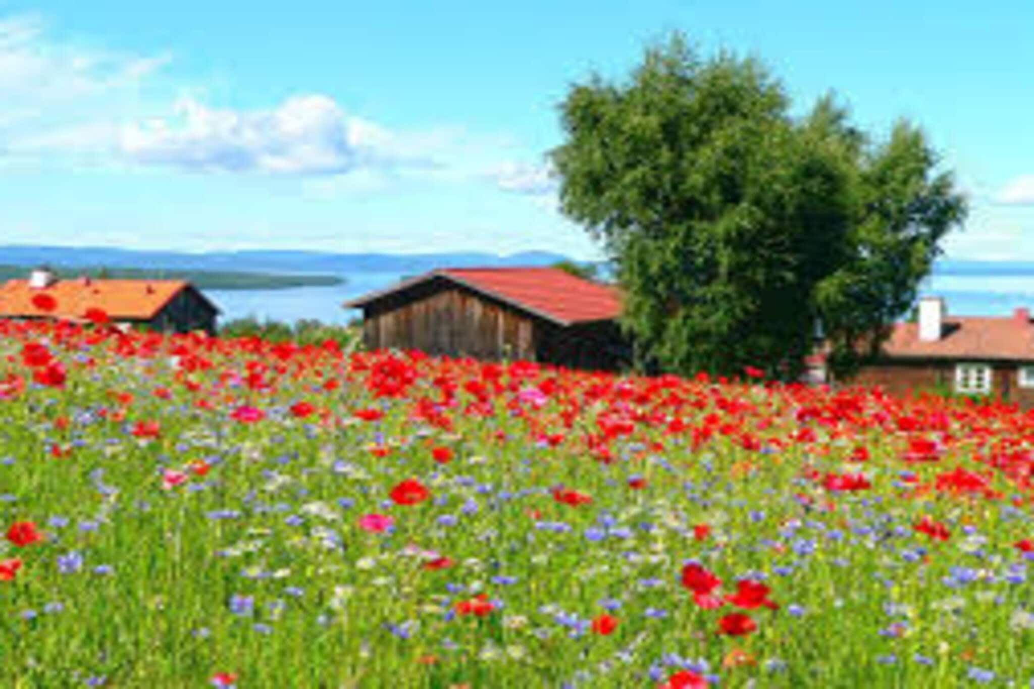 4 star holiday home in TÄLLBERG