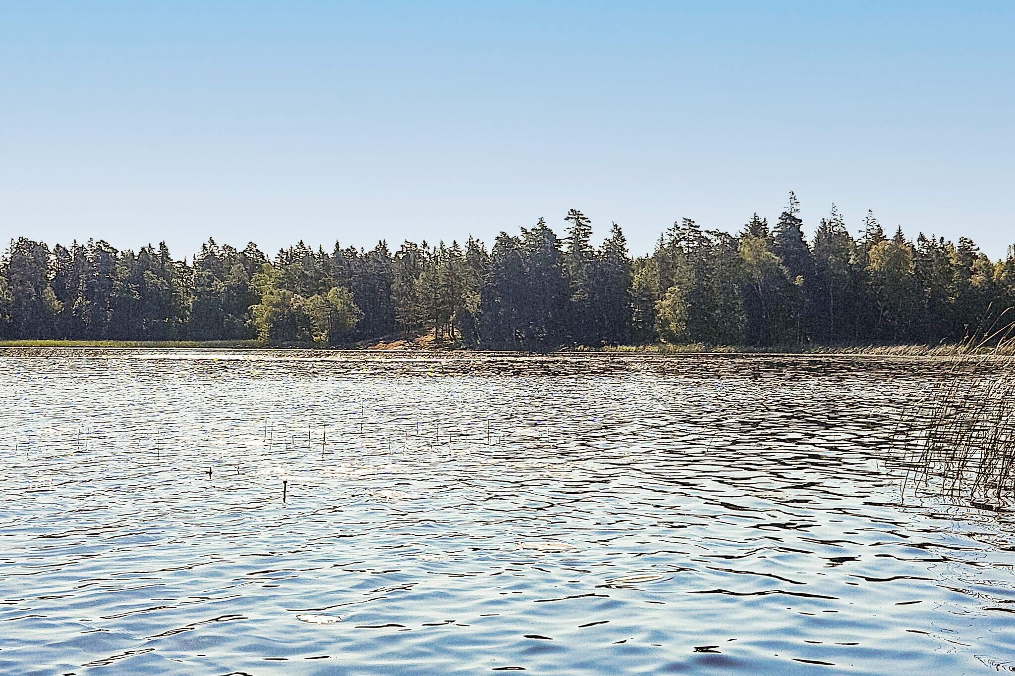 Sweden