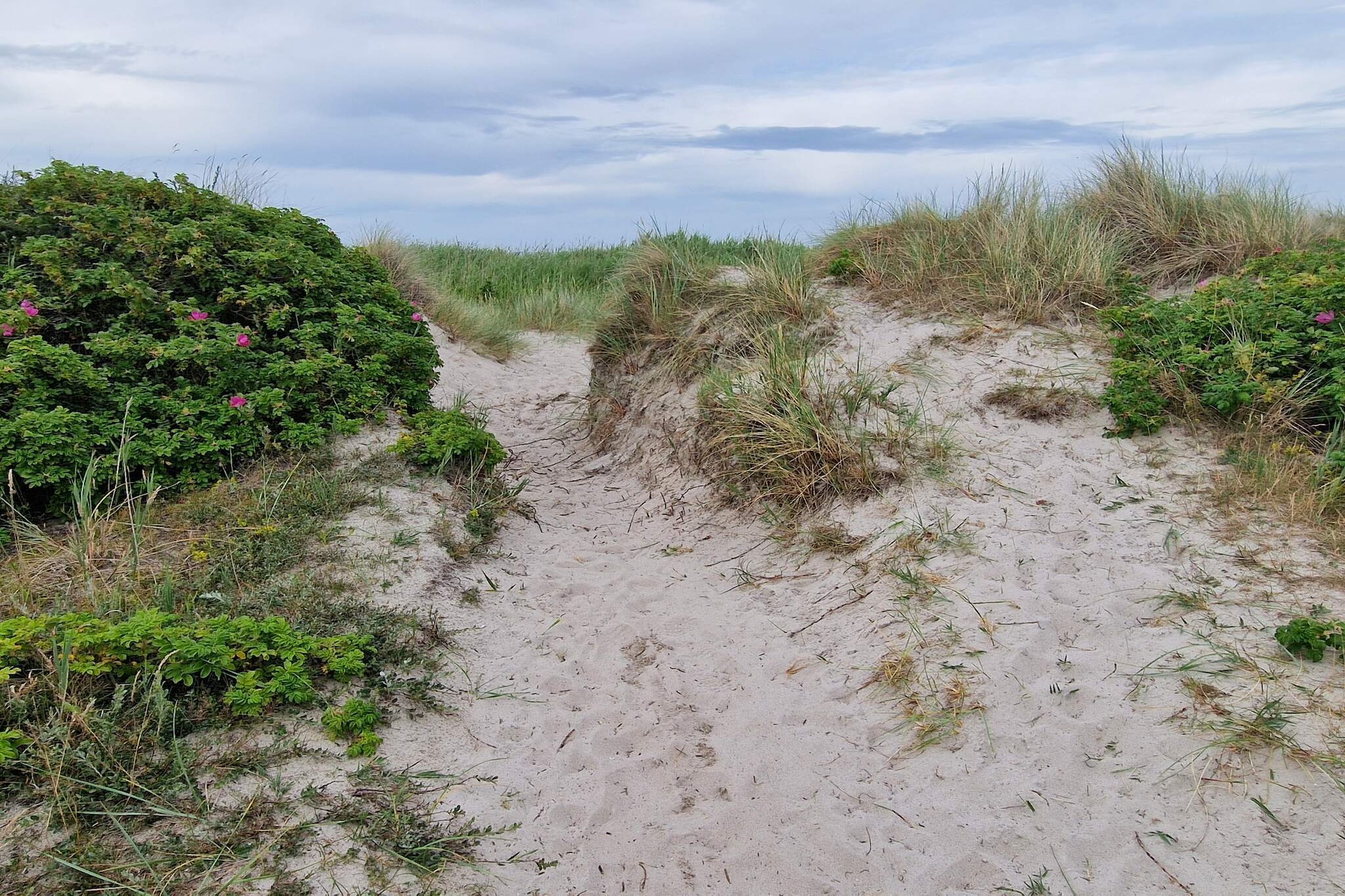 5 sterren vakantie huis in Hadsund-Niet-getagd