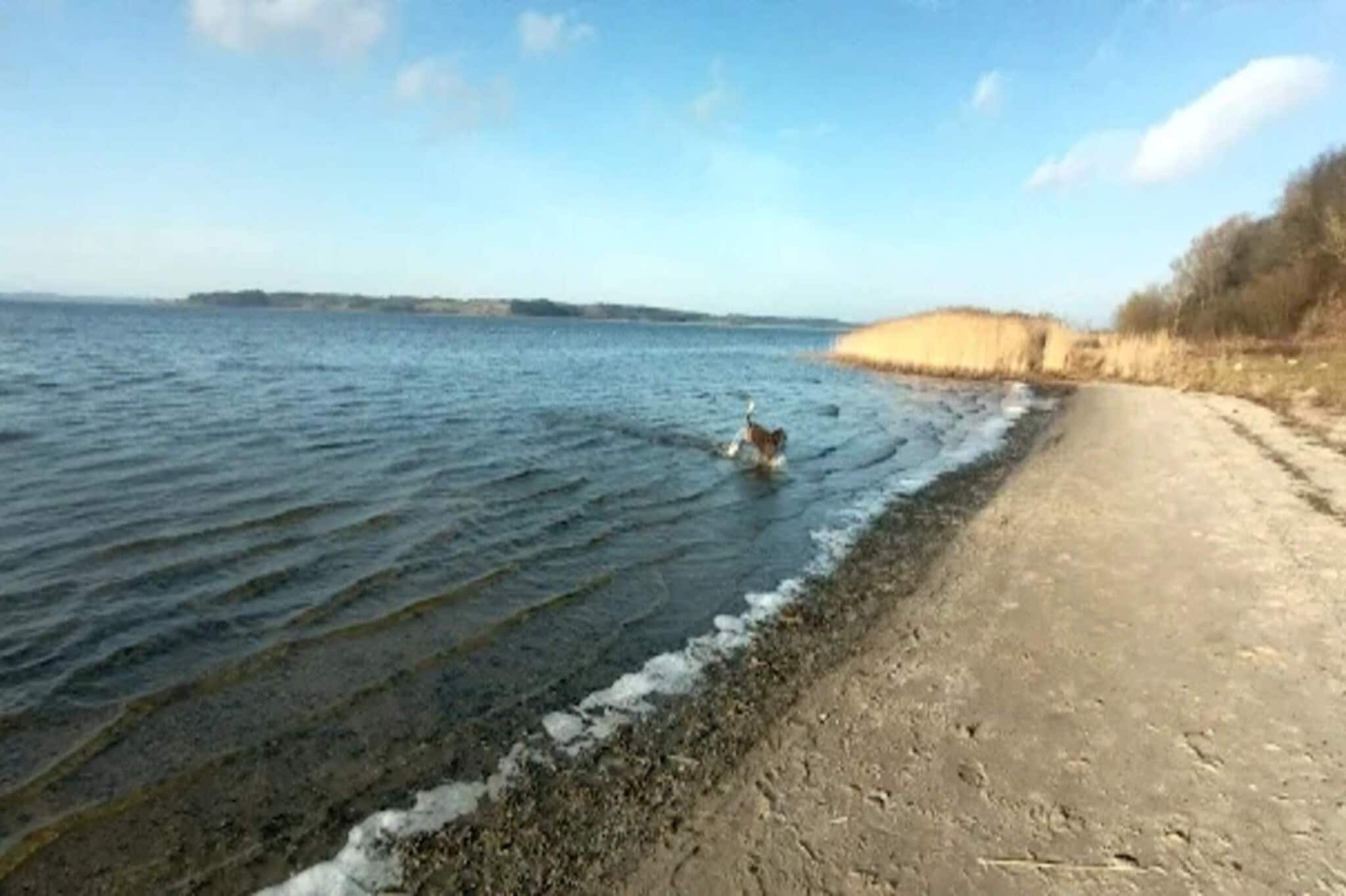 5 etoiles maison de vacances a Løgstrup-Vue sur l'eau