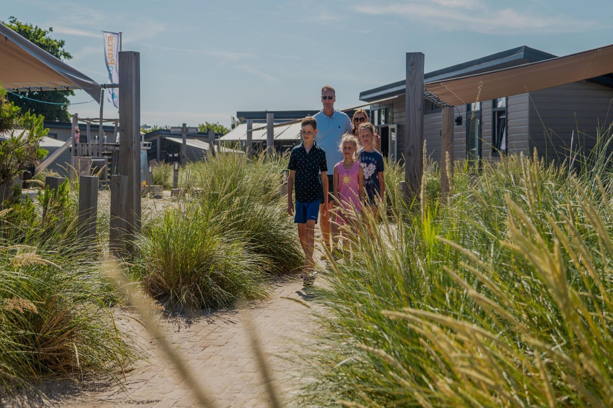 Duinlodge 4 + 2 - Exterior in summer