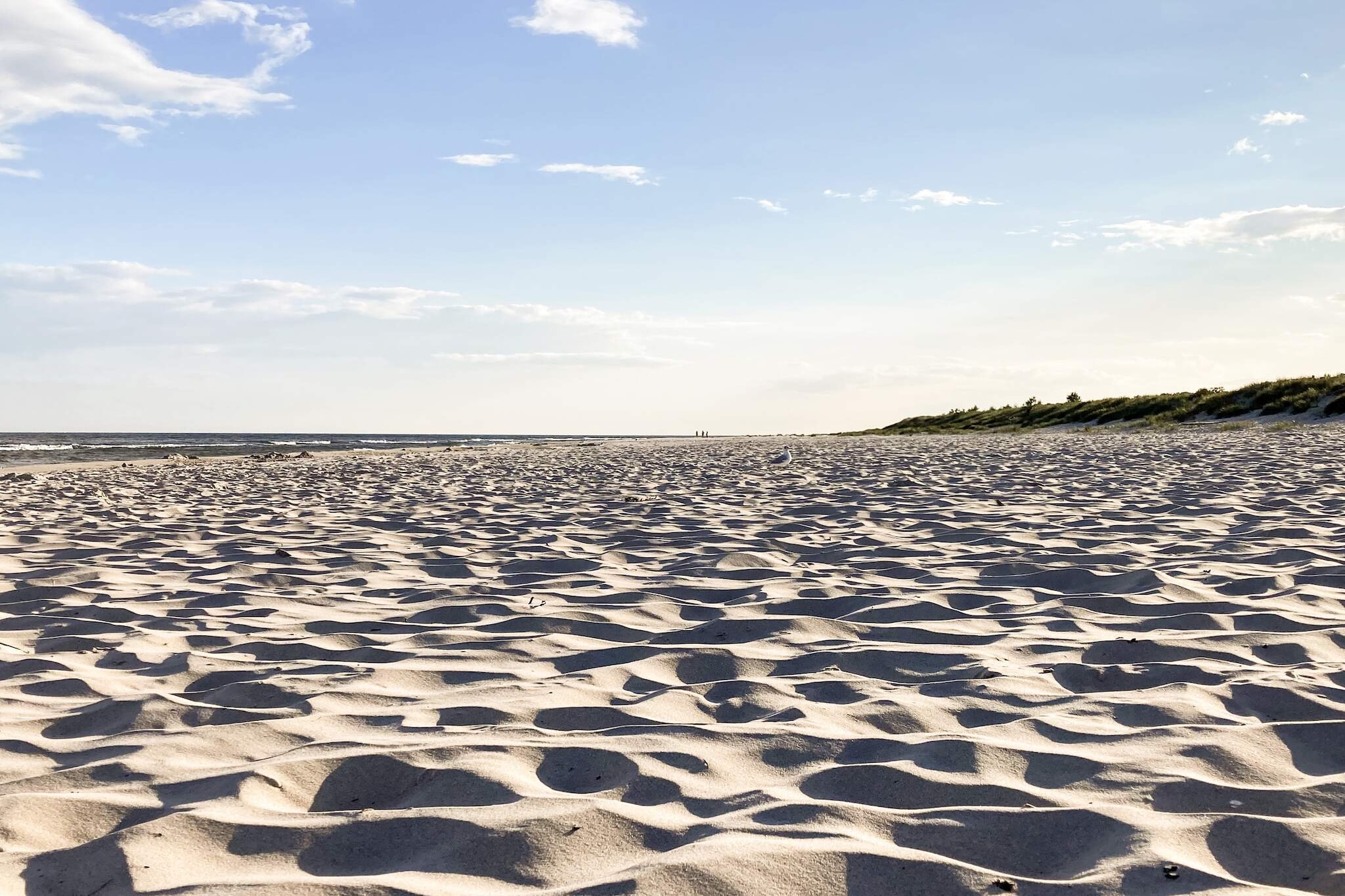 Living room(double bed, cooker(2 ring stoves), coffee machine, microwave, fridge(+ freezer)), bathroom(washbasin, shower, toilet), heating(electric), garden furniture, parking, air to air heatpump