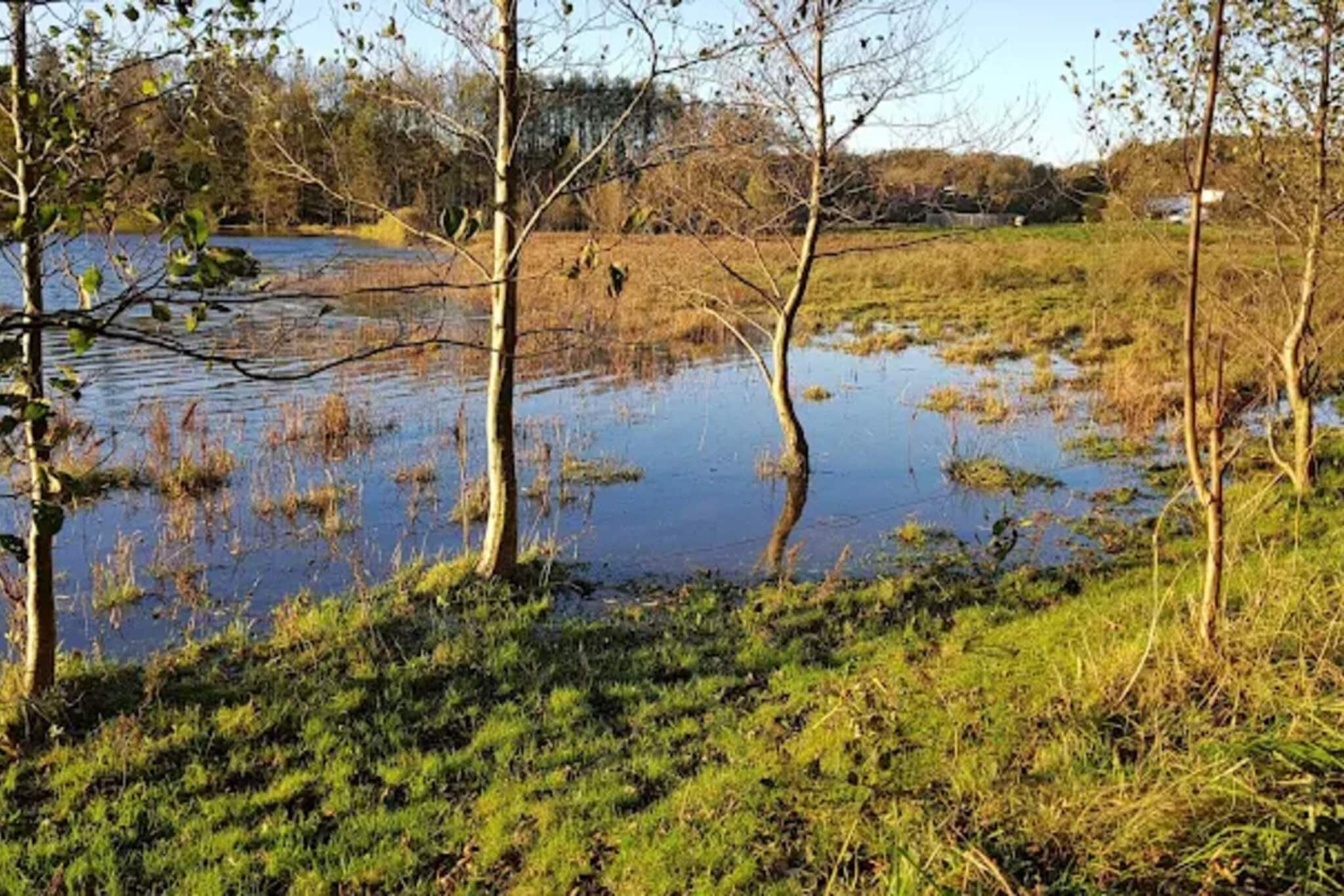 4 sterren vakantie huis in Aabenraa-Waterzicht