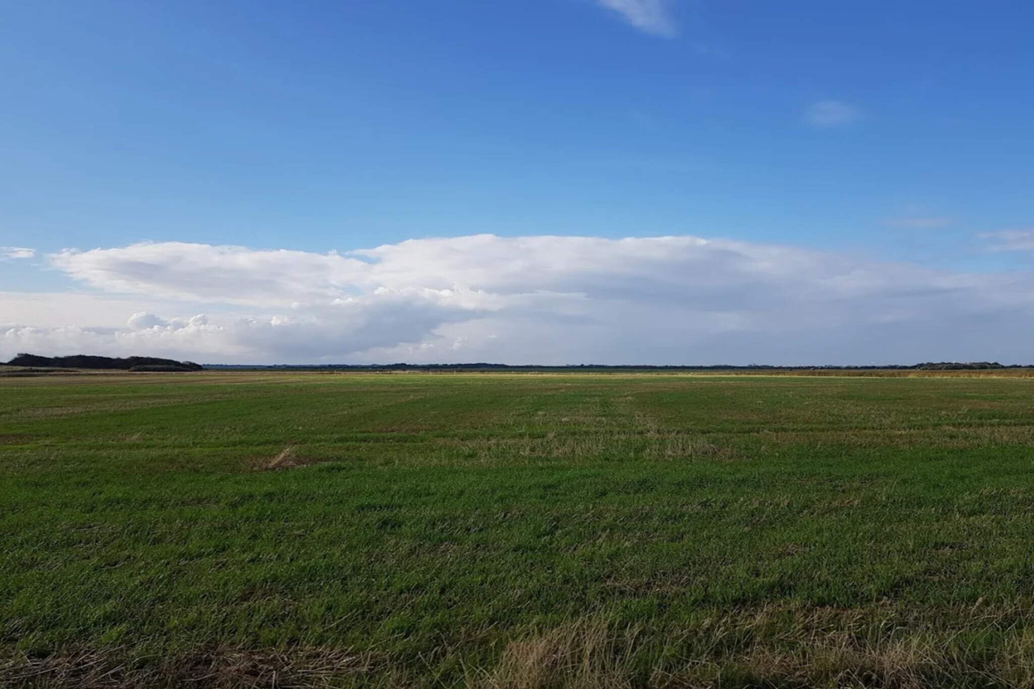 2 person holiday home in Ringkøbing-Not tagged