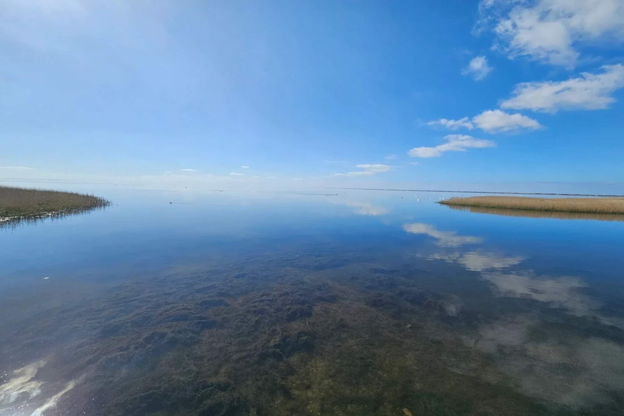 2 person holiday home in Ringkøbing-Water view