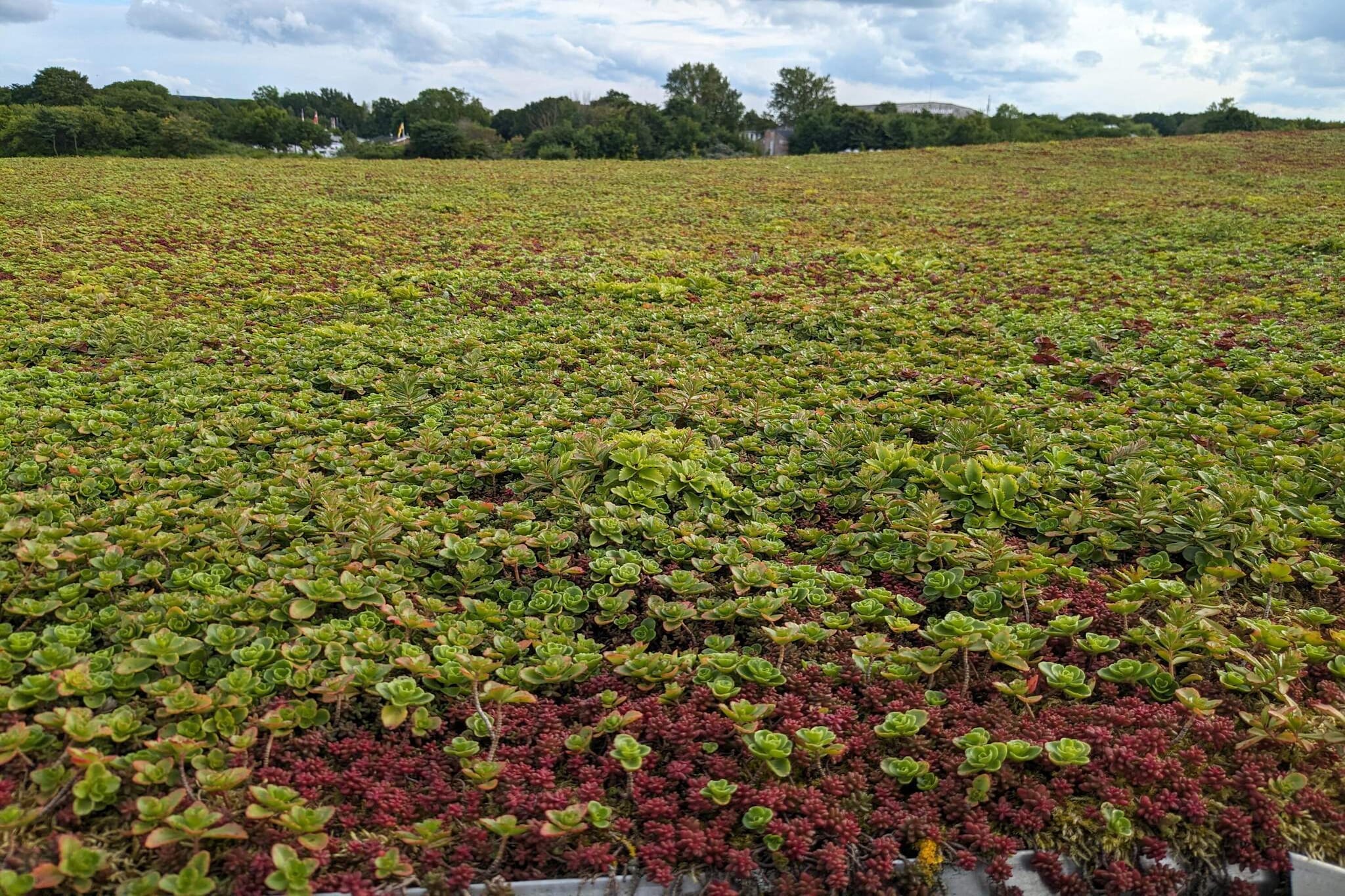 4 etoiles maison de vacances a Aalborg-Non tagué