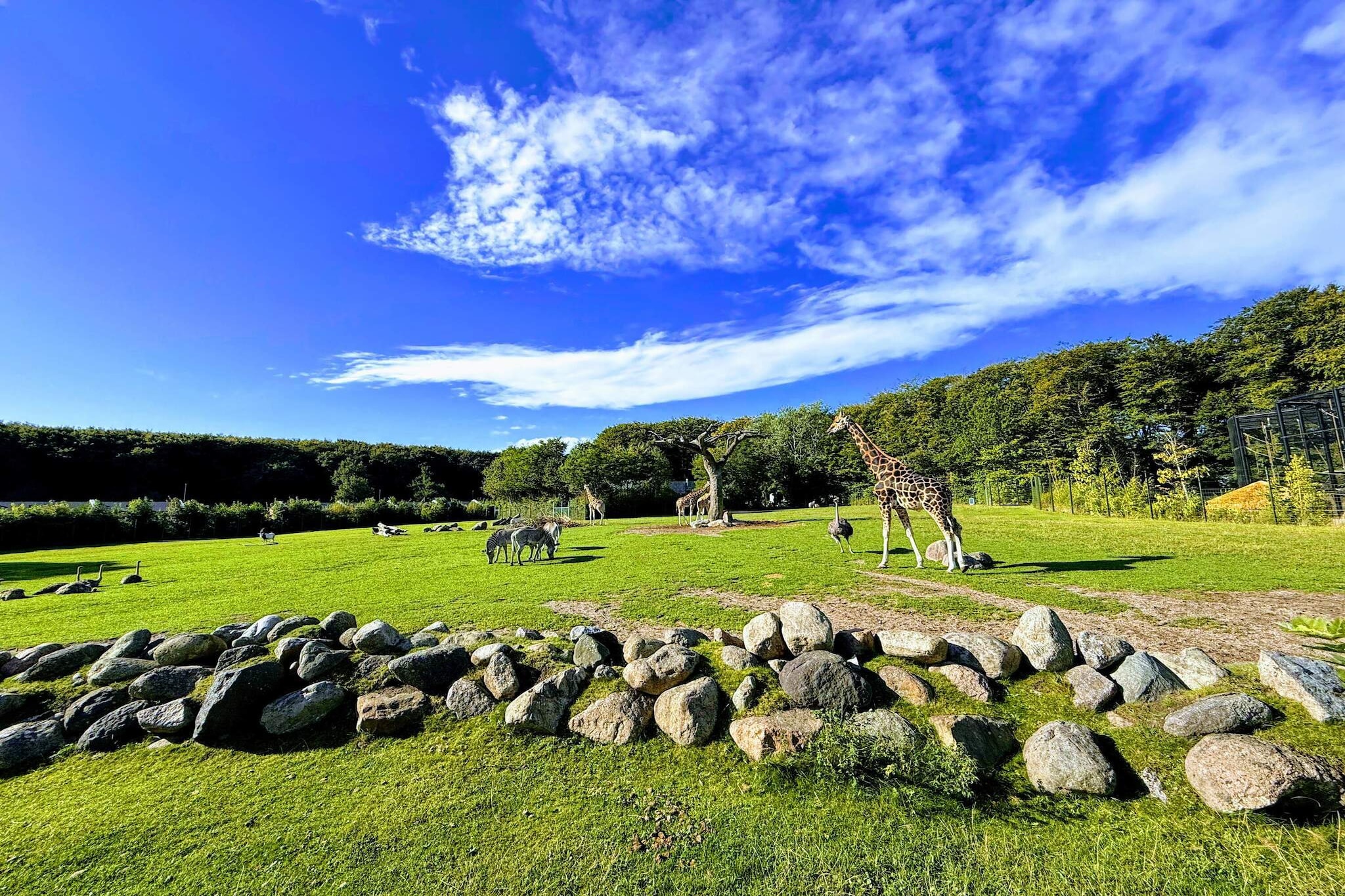 4 etoiles maison de vacances a Aalborg-Non tagué