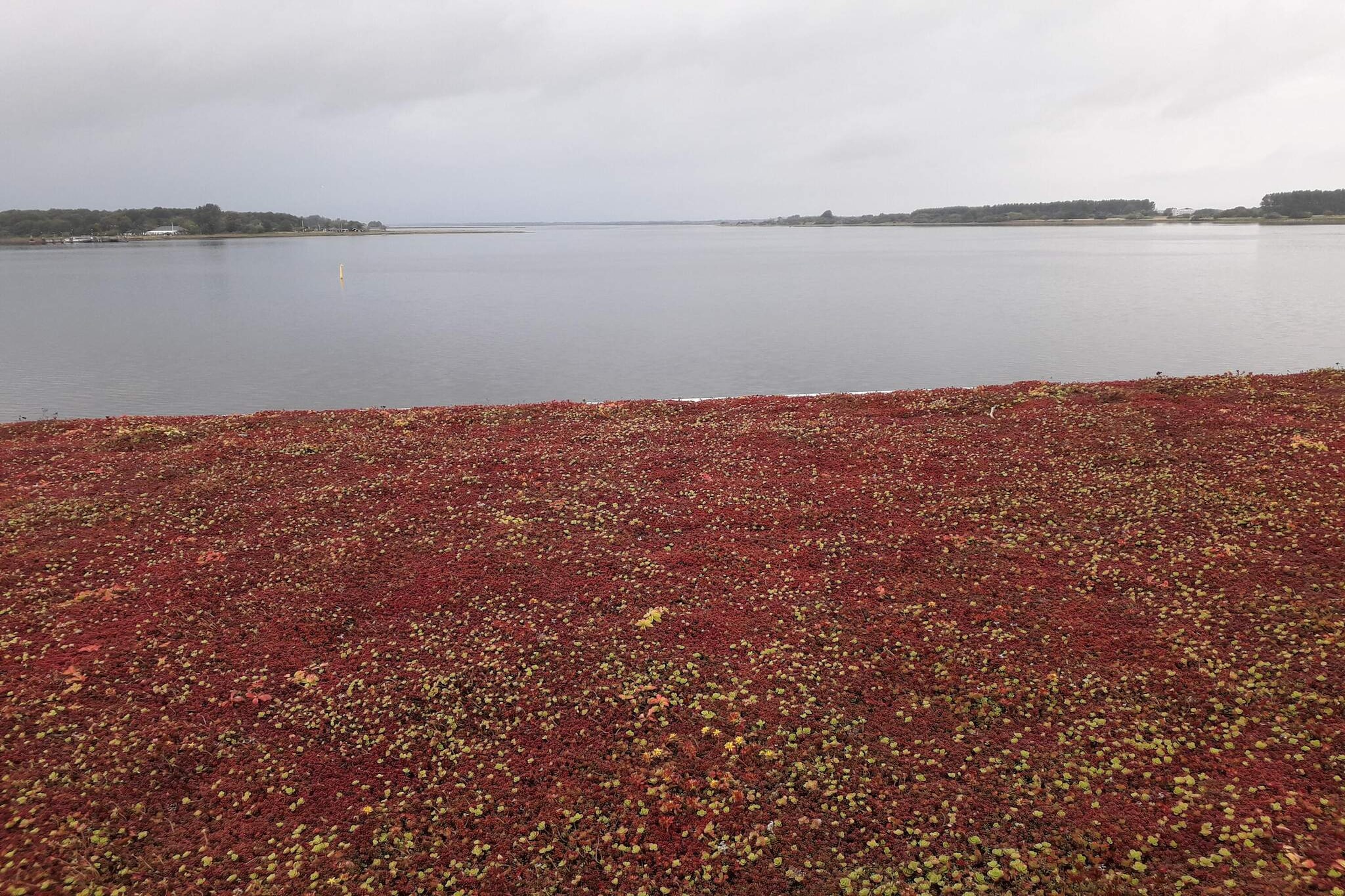 4 sterren vakantie huis in Aalborg