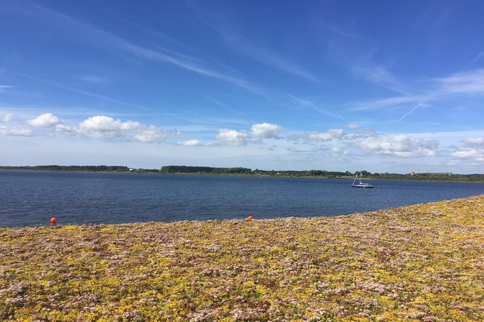 4 etoiles maison de vacances a Aalborg-Vue sur l'eau