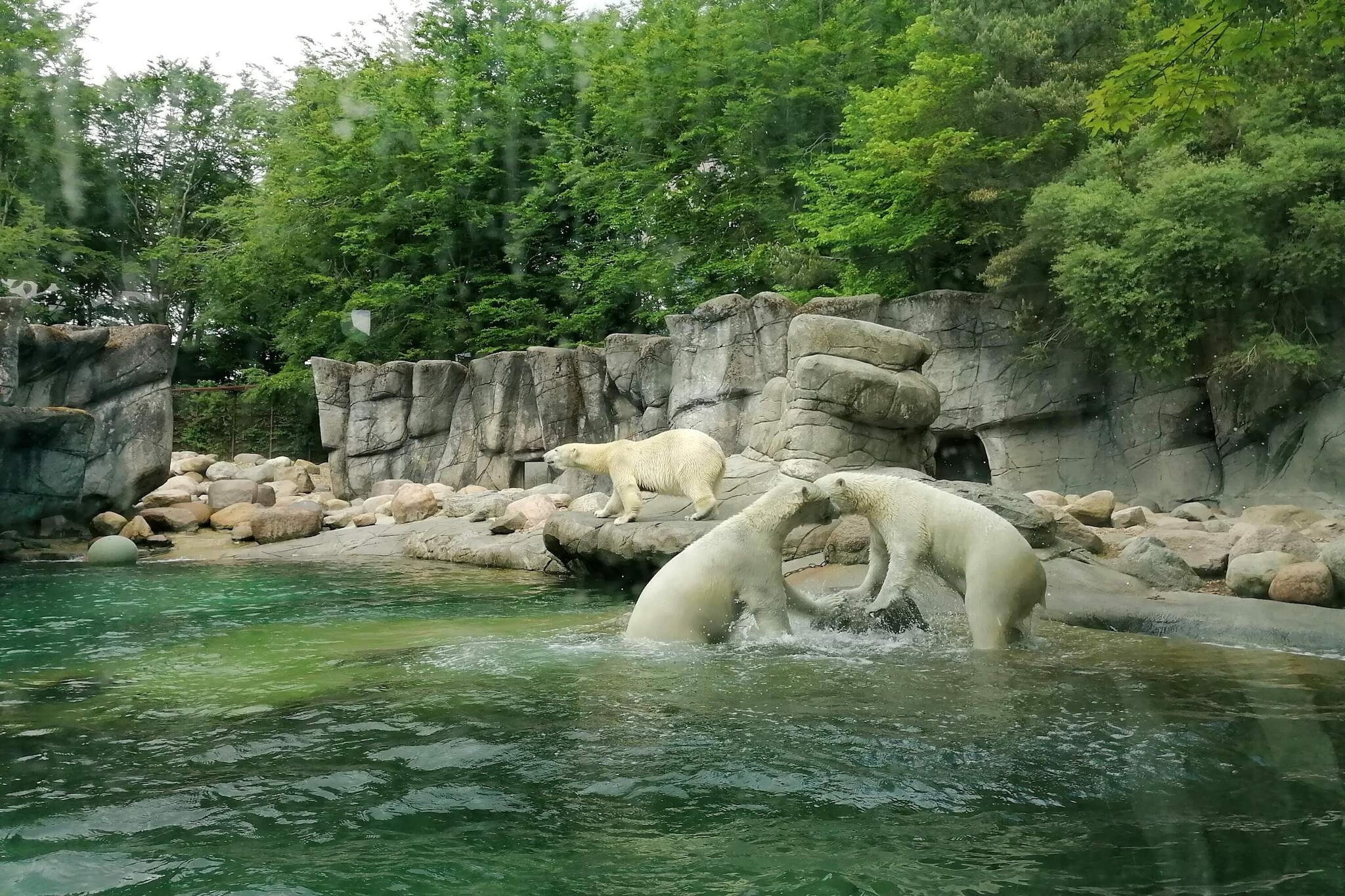 4 etoiles maison de vacances a Aalborg-Vue sur l'eau