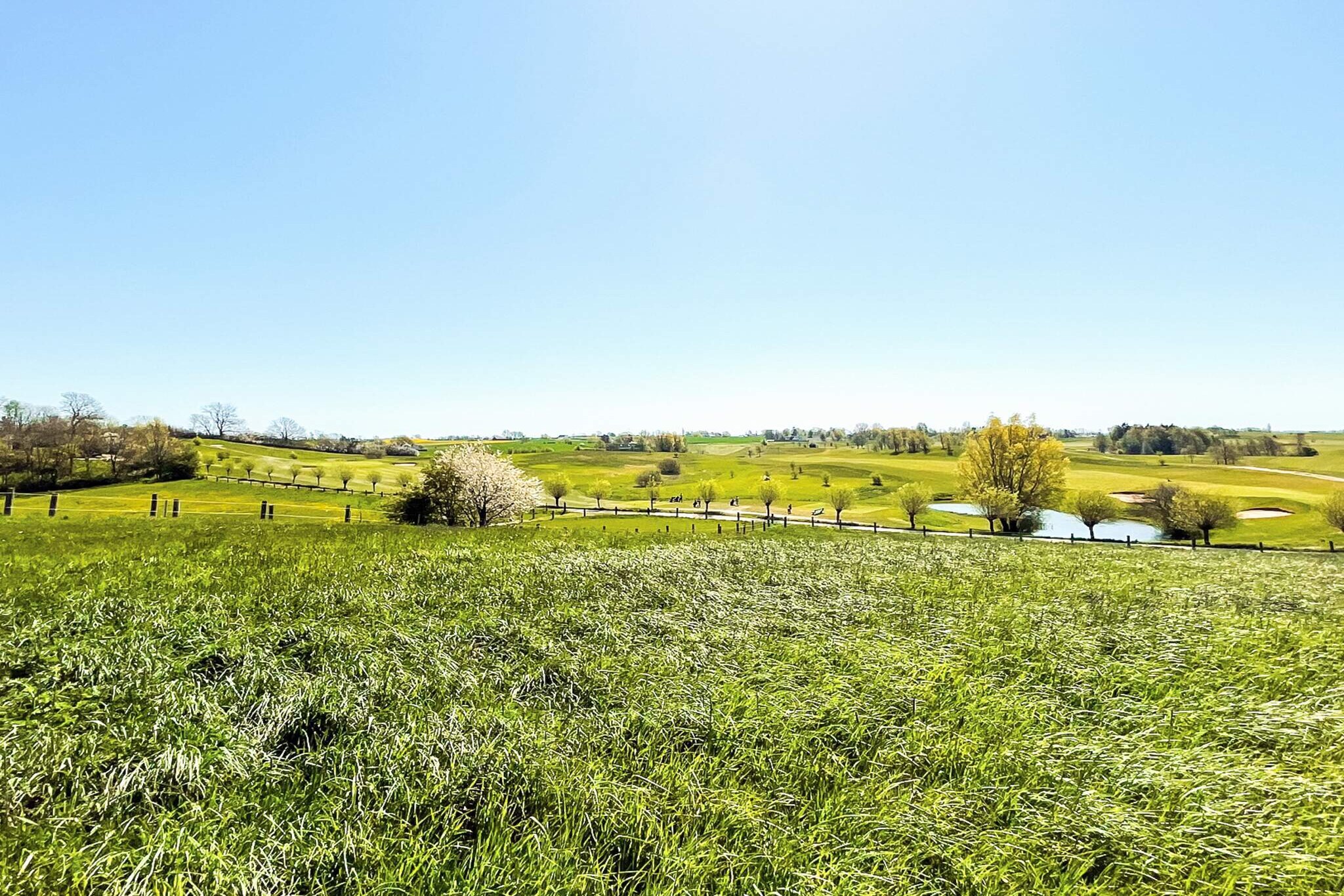 4 person holiday home in ANDERSLÃ–V