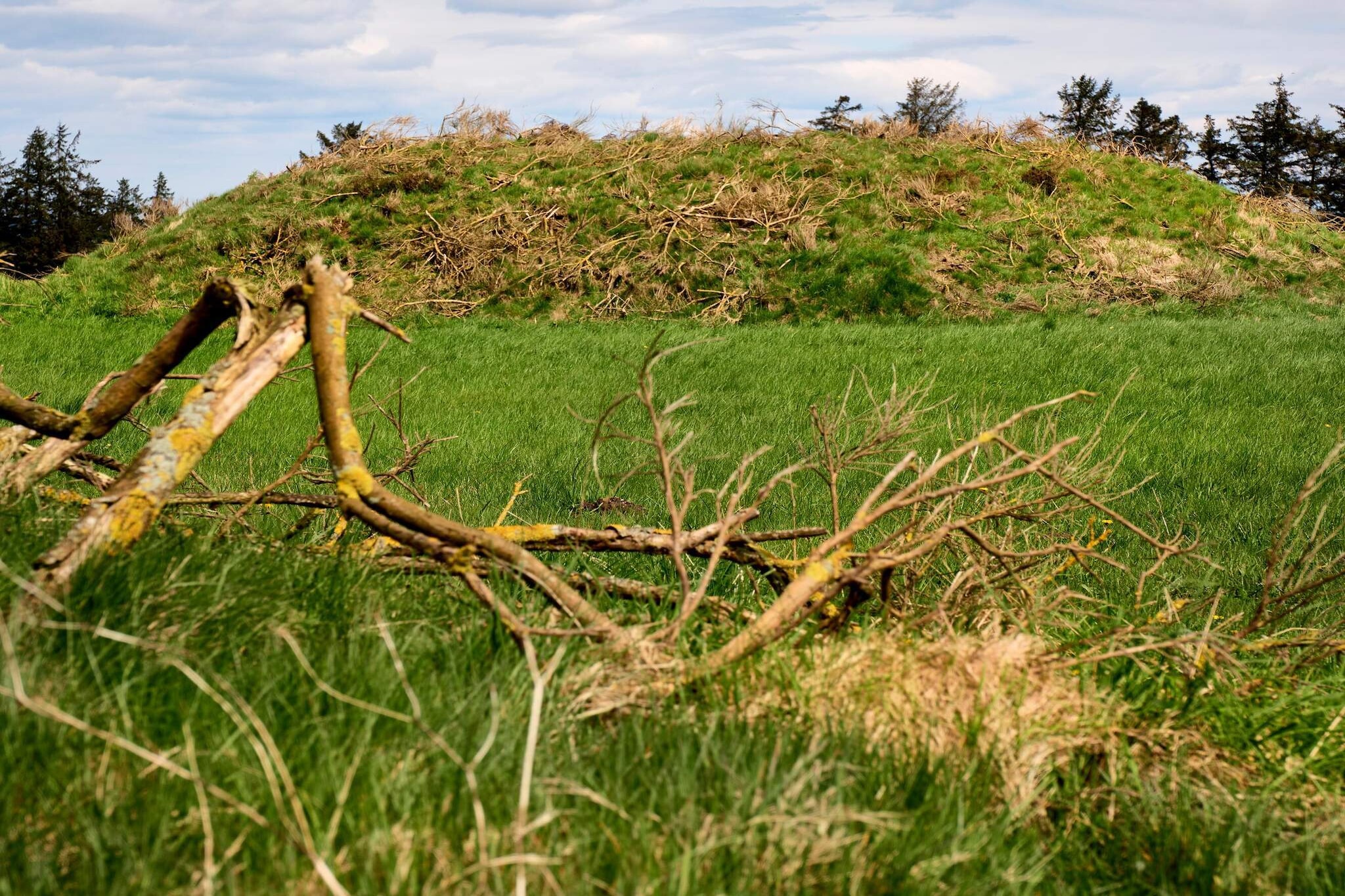 9 person holiday home in Skærbæk