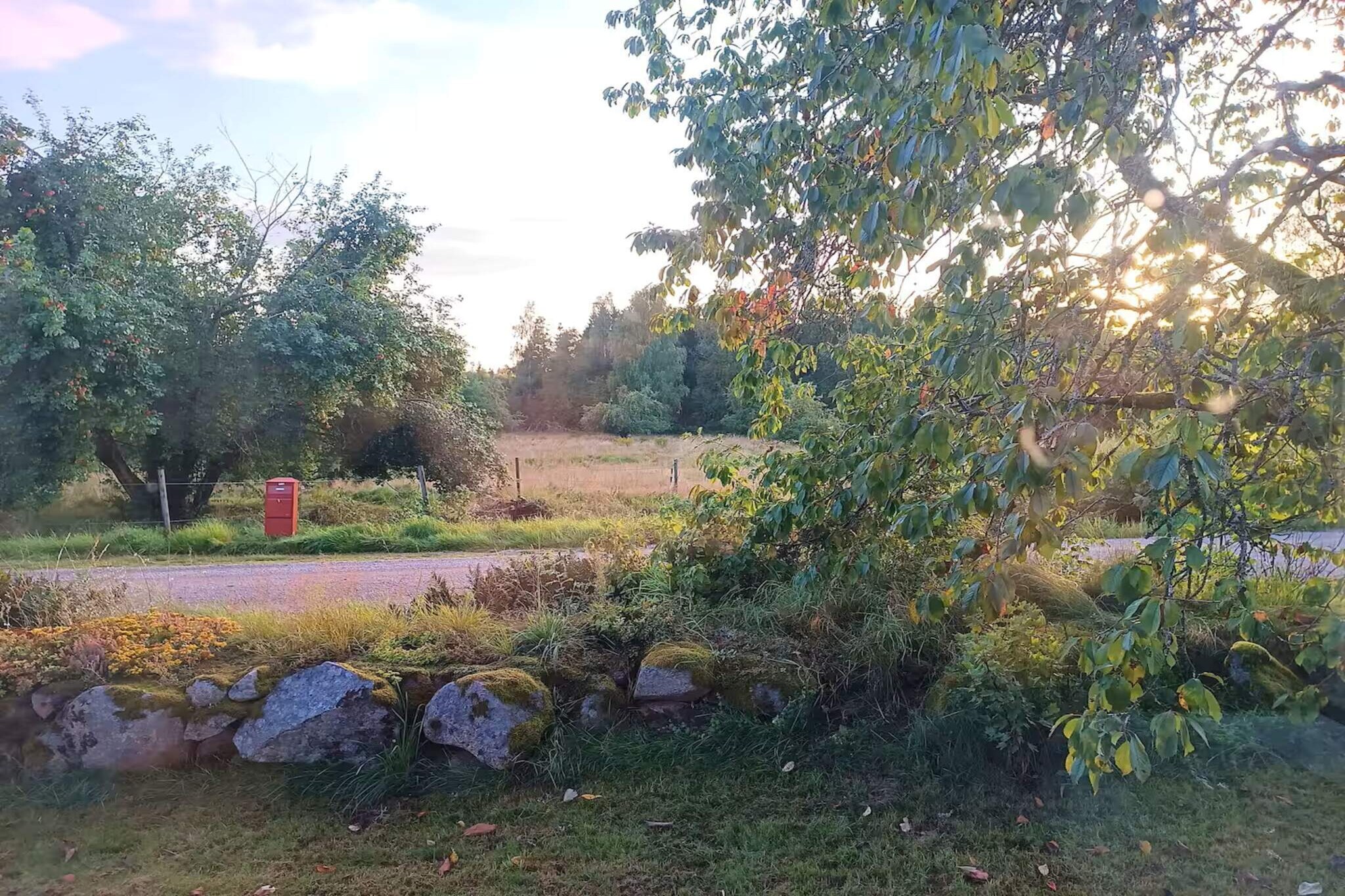 Beautiful cottage for 5 guests