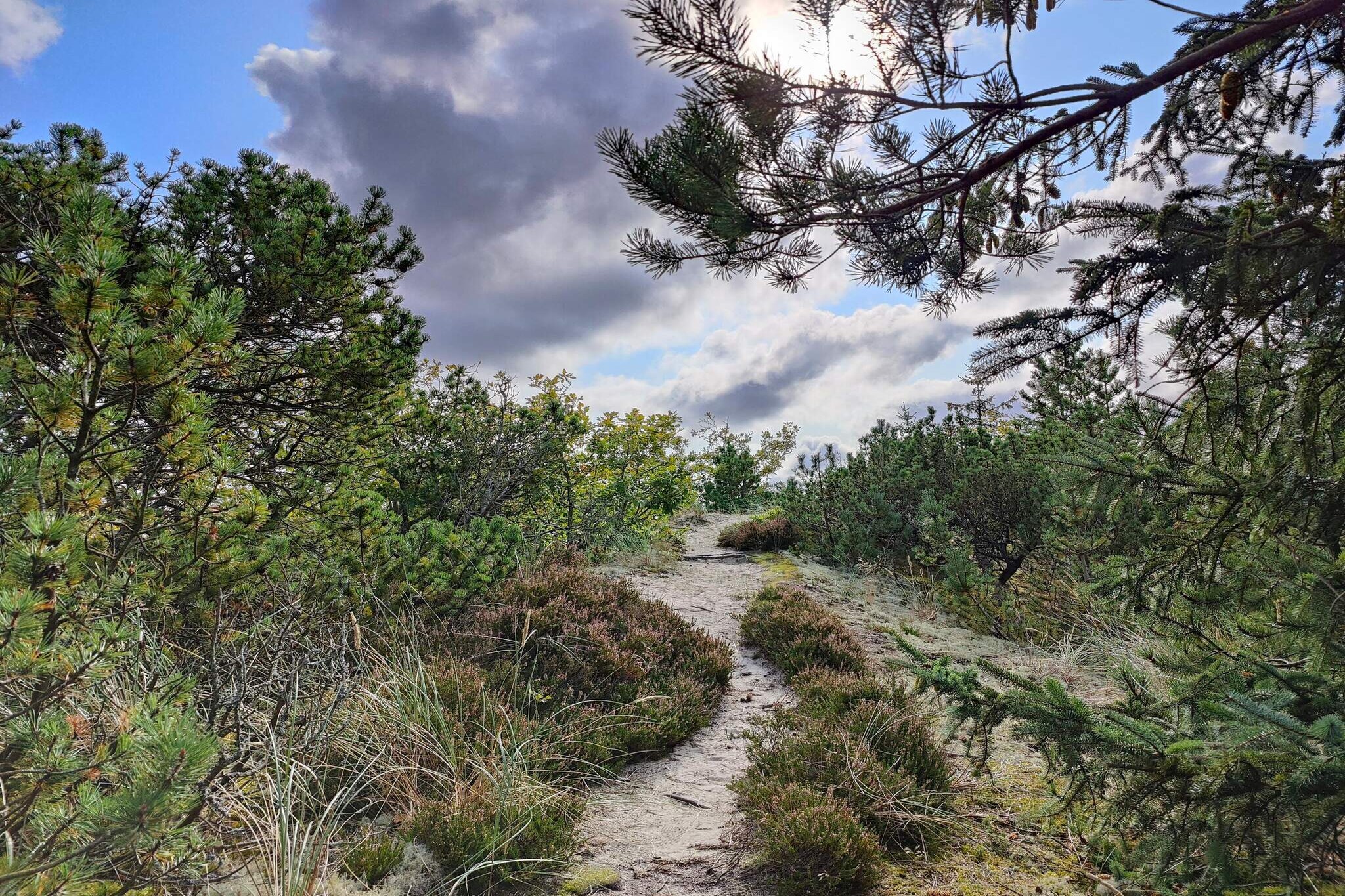 5 person holiday home in Snedsted-Untagged