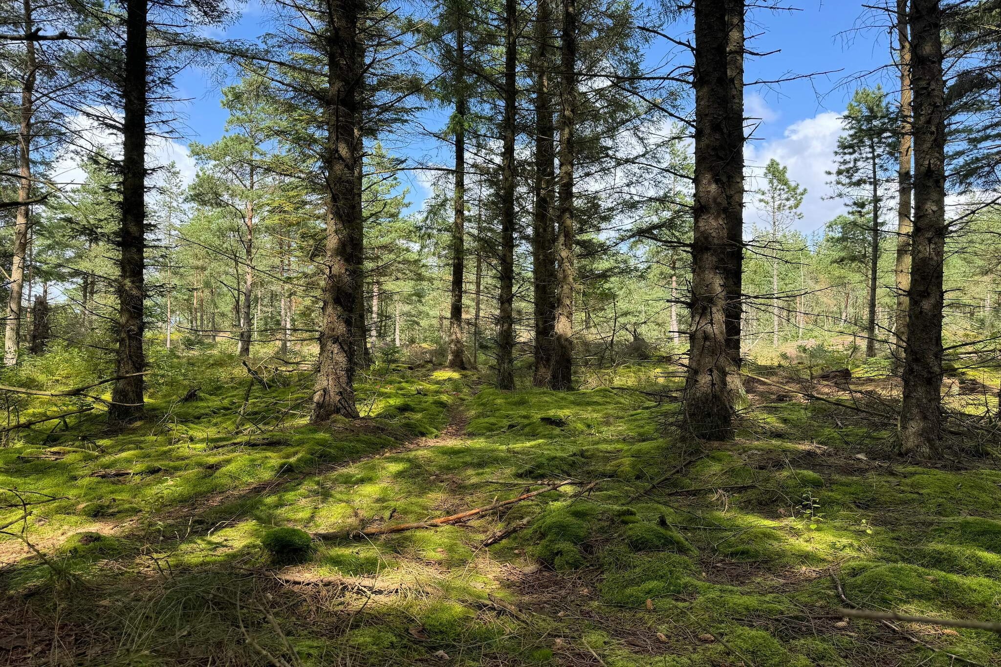 5 person holiday home in Snedsted-Untagged