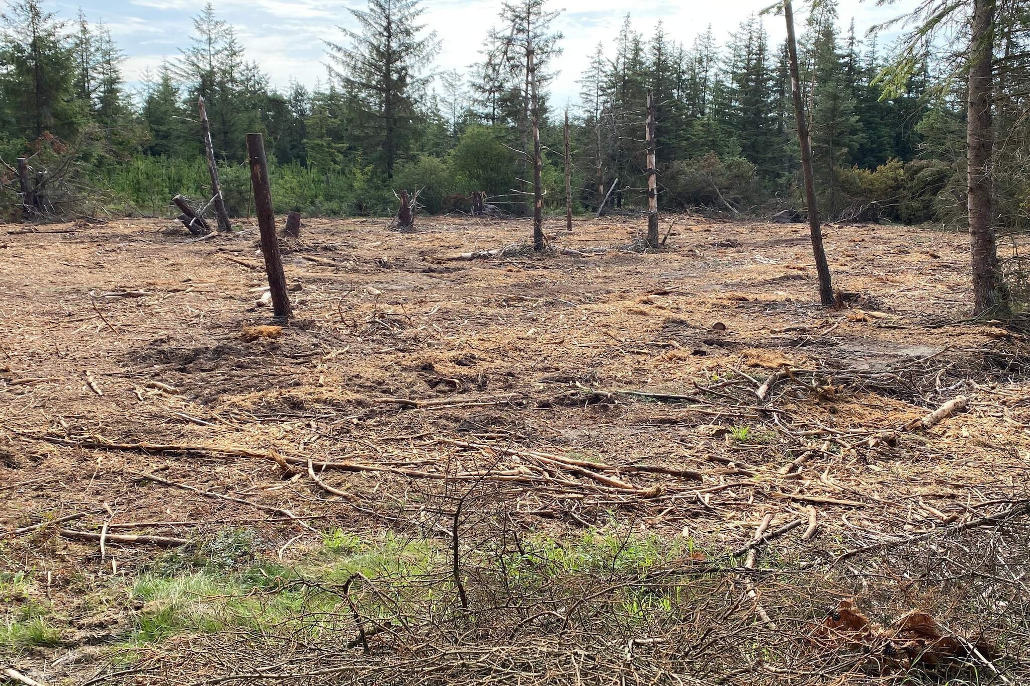 5 person holiday home in Snedsted-Untagged