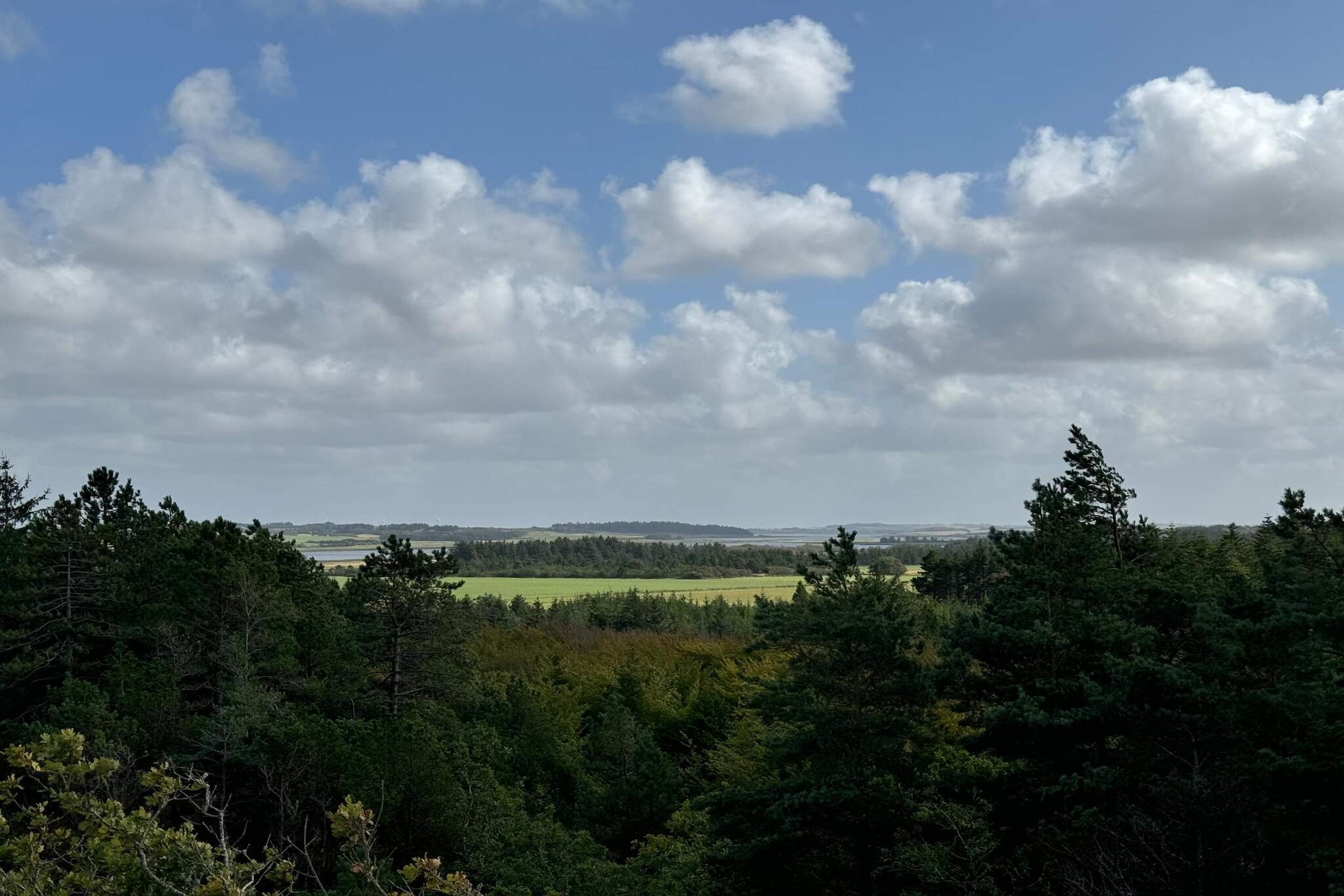 5 person holiday home in Snedsted-Untagged