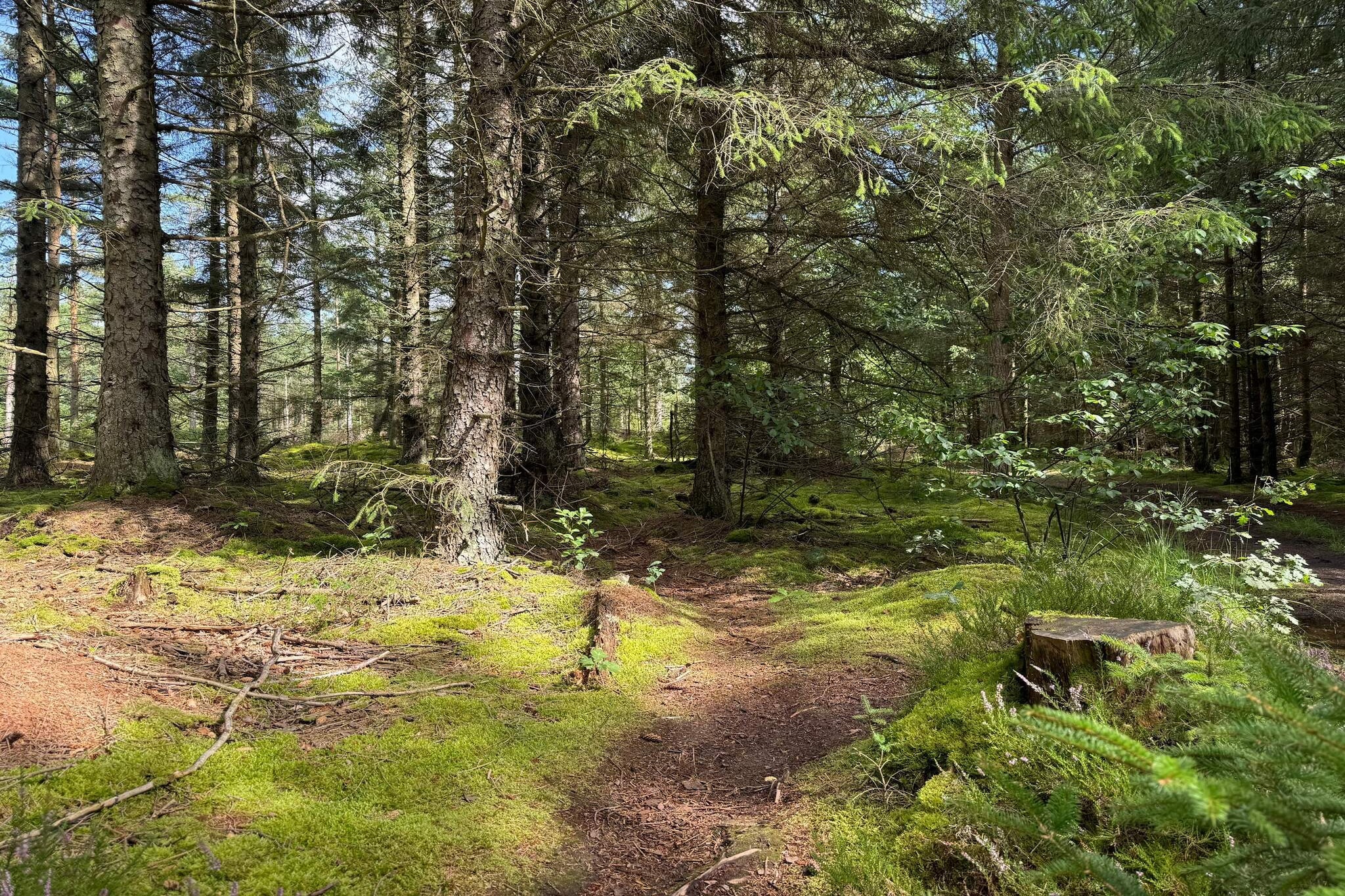 5 person holiday home in Snedsted-Untagged