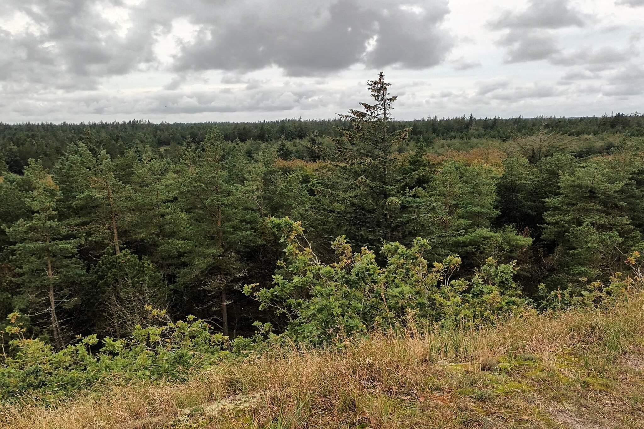 5 person holiday home in Snedsted-Untagged