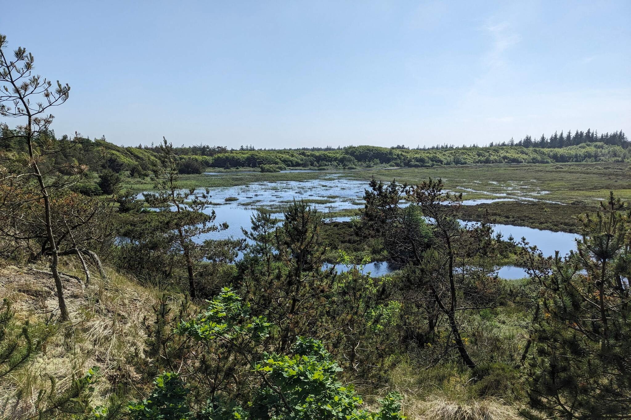 5 person holiday home in Snedsted-Water view