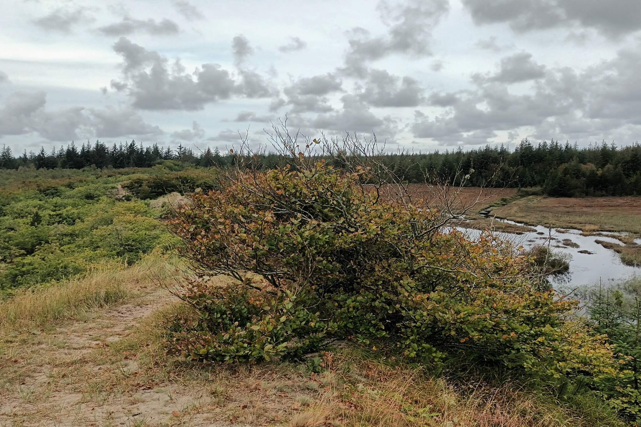 5 person holiday home in Snedsted-Water view