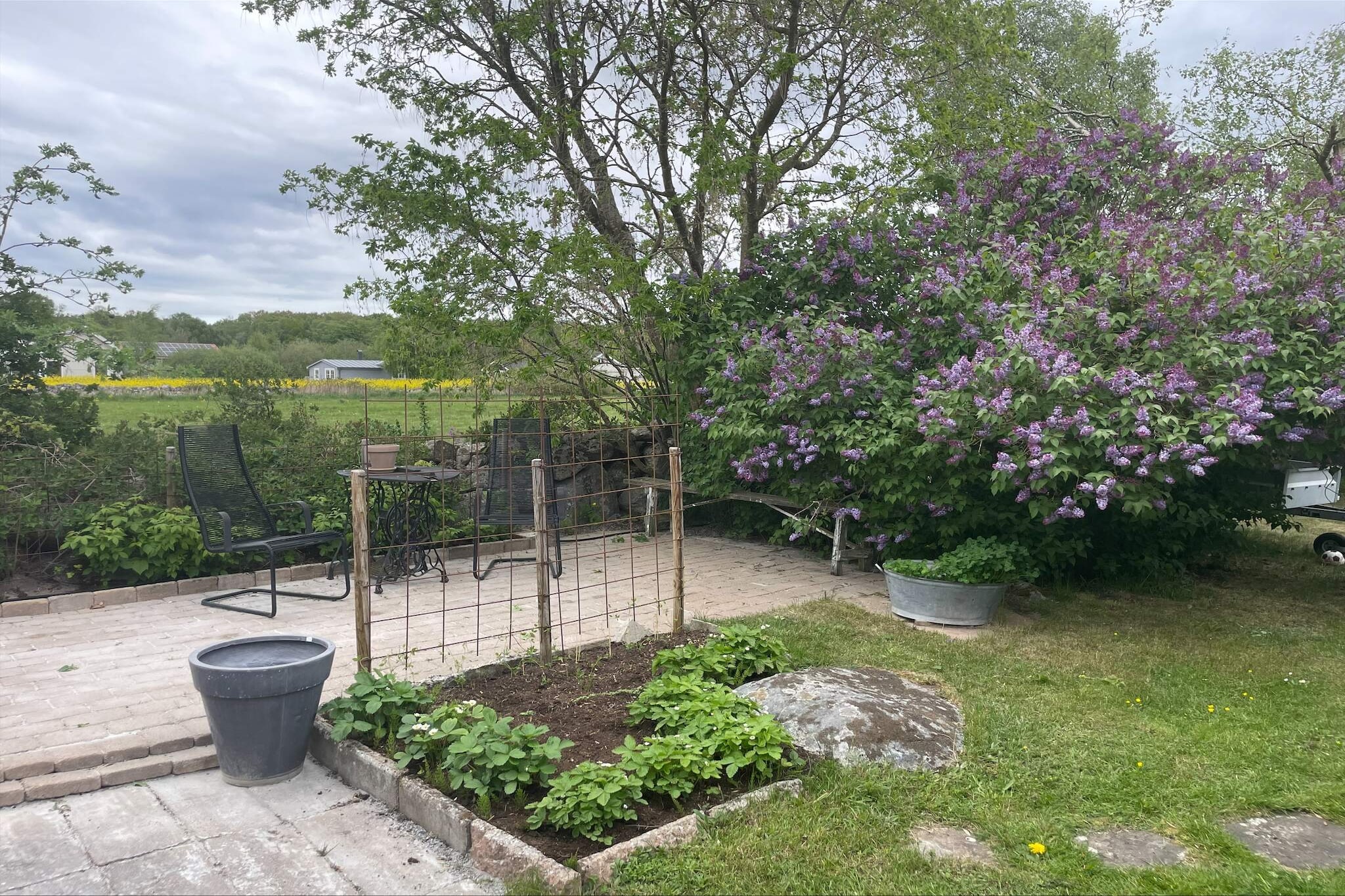 4 sterren vakantie huis in SÖLVESBORG-Buitenlucht