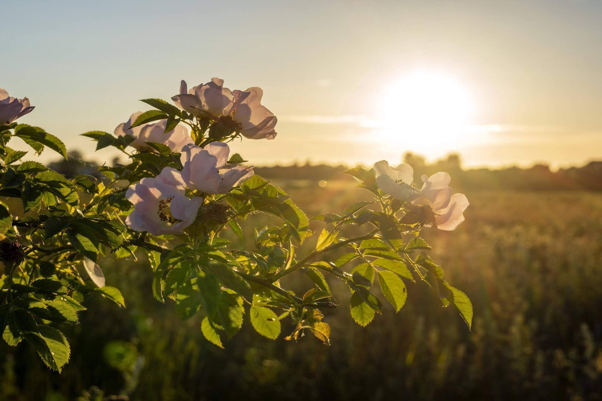 5 sterren vakantie huis in Køge-Niet-getagd
