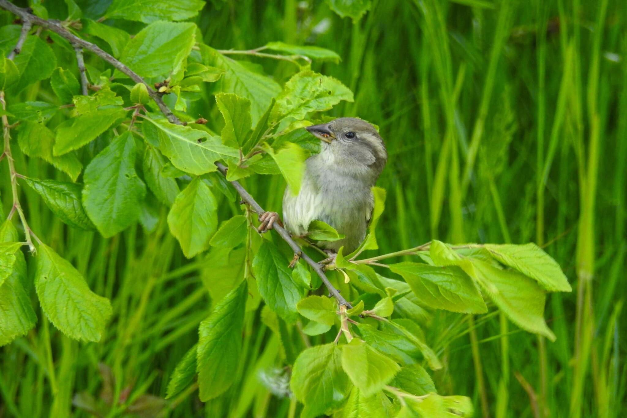 5 sterren vakantie huis in Køge-Niet-getagd