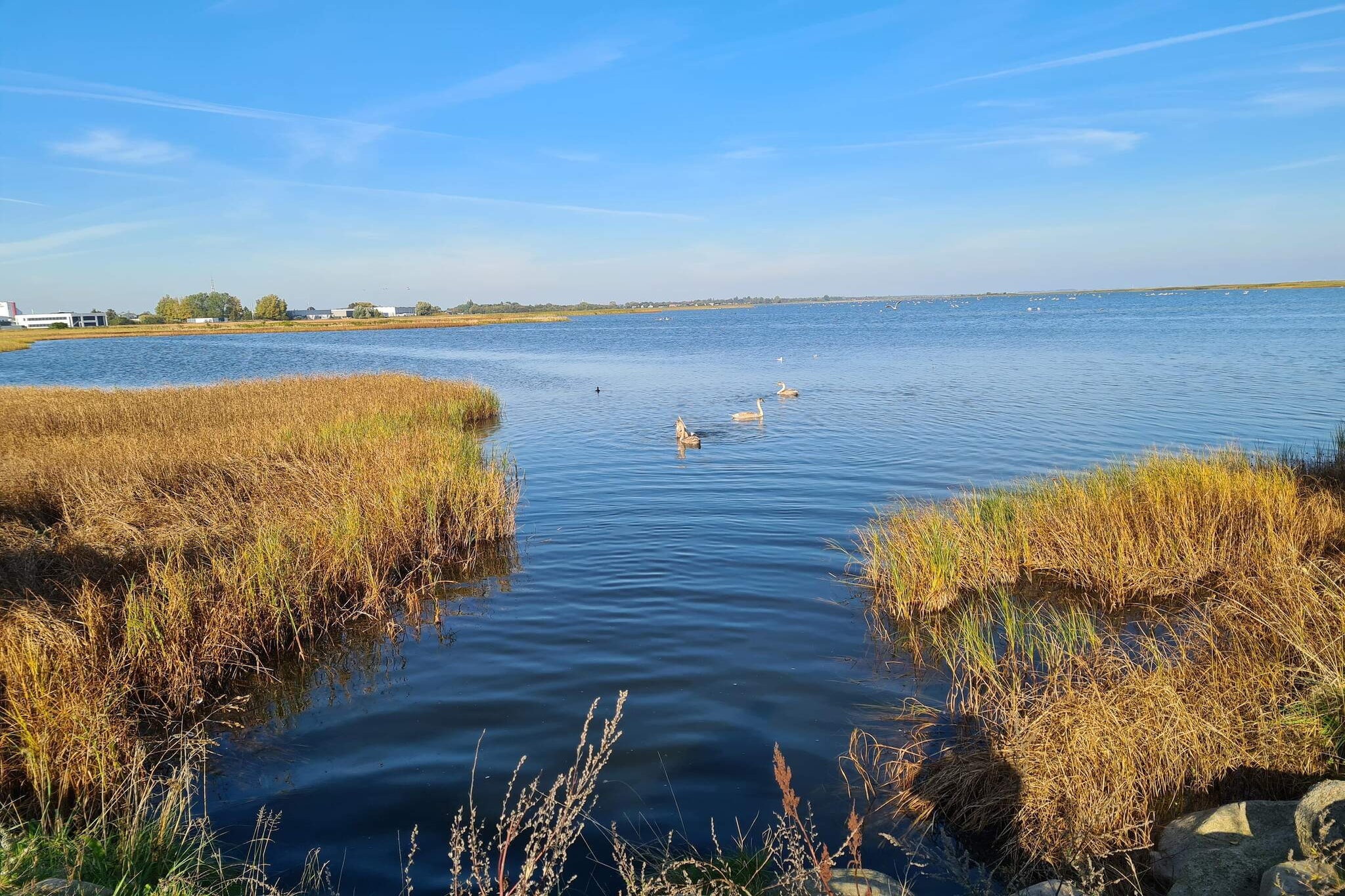 5 sterren vakantie huis in Køge-Waterzicht