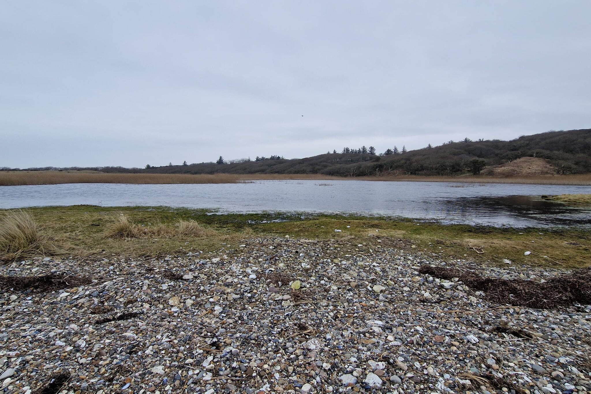 4 sterren vakantie huis in Spøttrup-Waterzicht