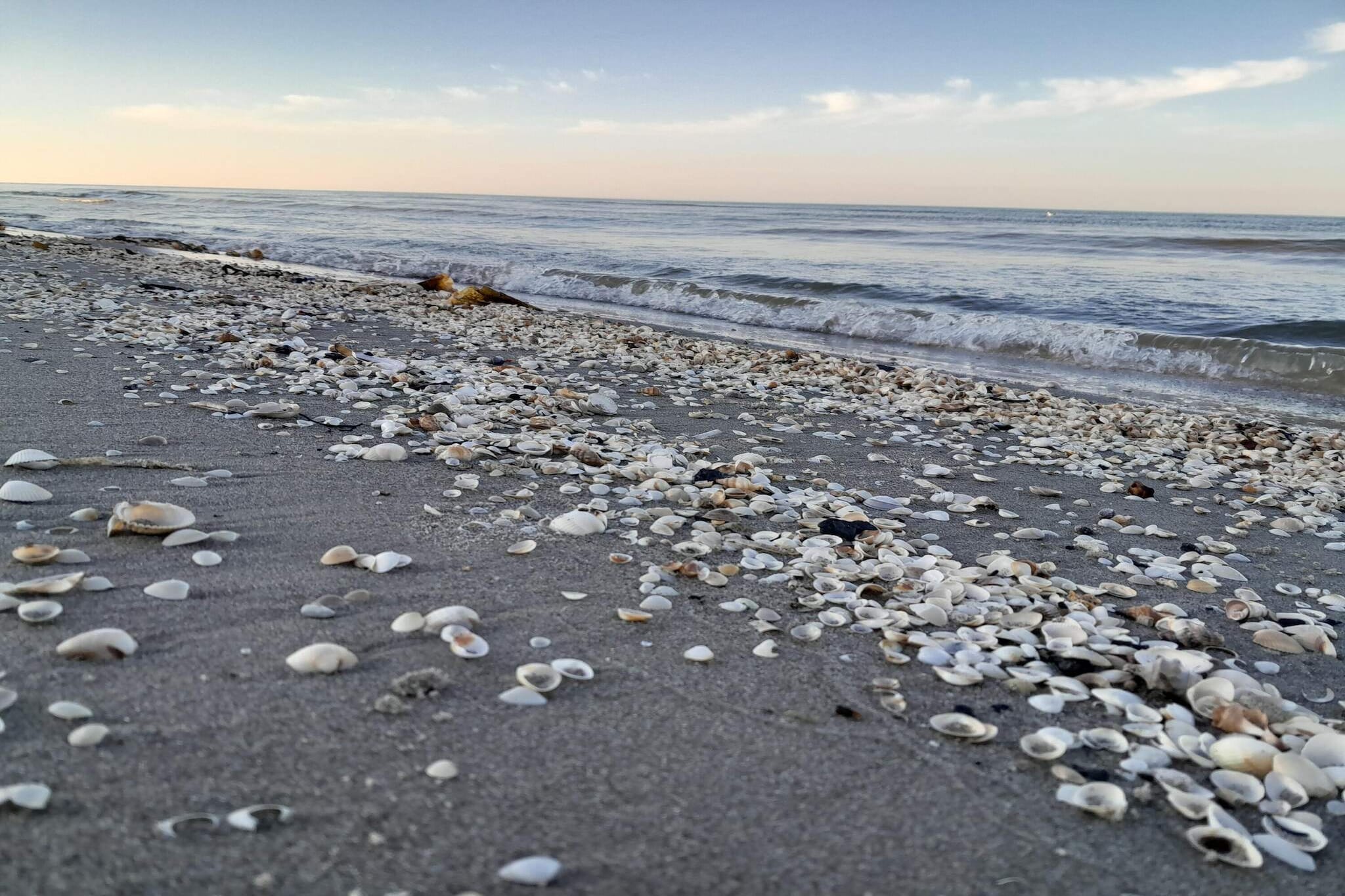 6 Personen vakantie huis in Sæby