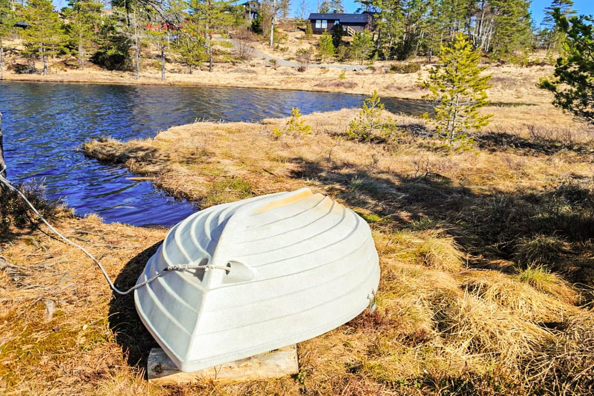 11 Personen vakantie huis in Hornnes-Niet-getagd