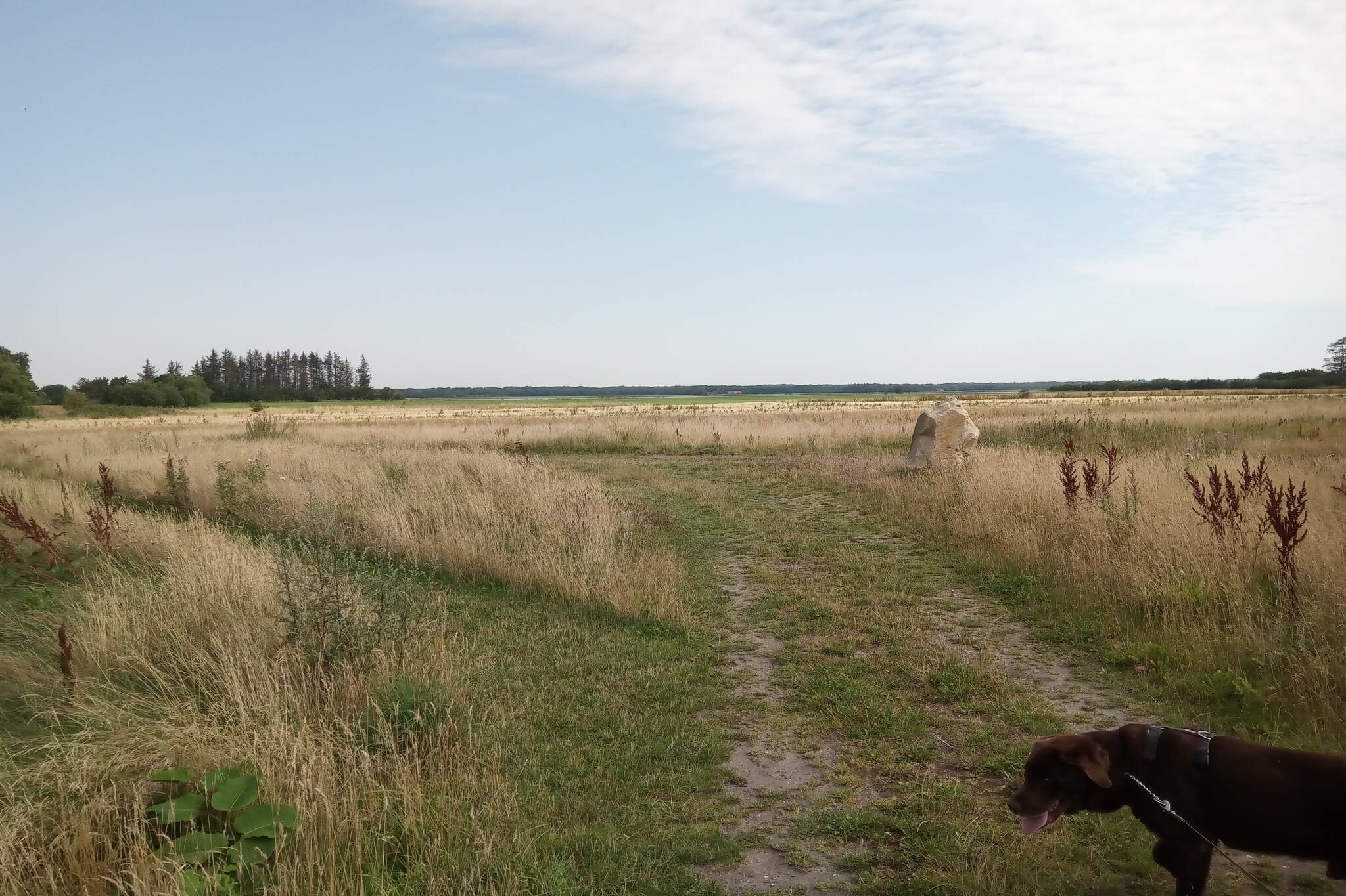 6 Personen vakantie huis in Storvorde-Niet-getagd