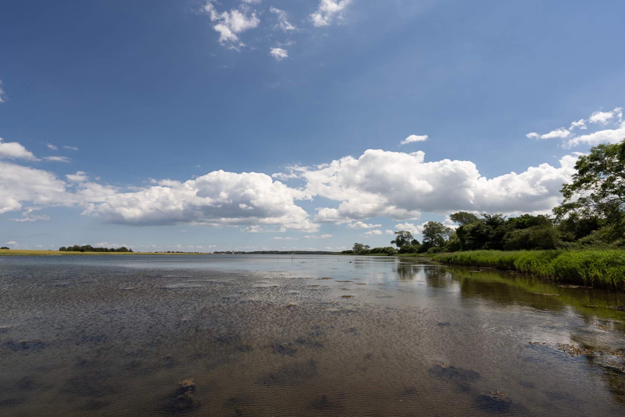 Internet Access DSL, Kitchen(coffee machine, microwave, dishwasher, fridge-freezer), Living/bed room(TV(german television channels, danish TV channels (DR1 and TV2))), bedroom(double bed), bedroom(2x single bed), bedroom(single folding bed), bathroom(washbasin, shower, toilet), bathroom(washbasin, shower, toilet), garden, garden furniture