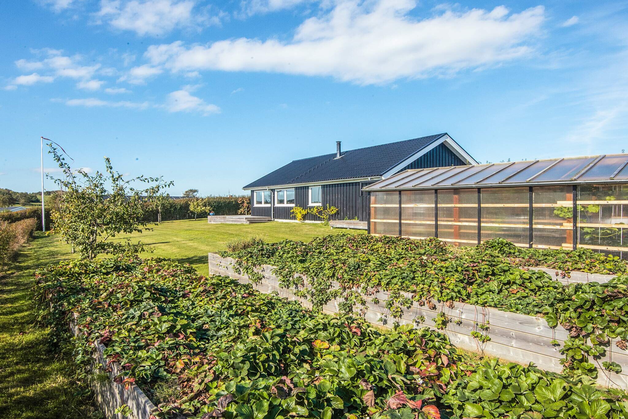 6 Personen vakantie huis in Ebeltoft - Uitzicht