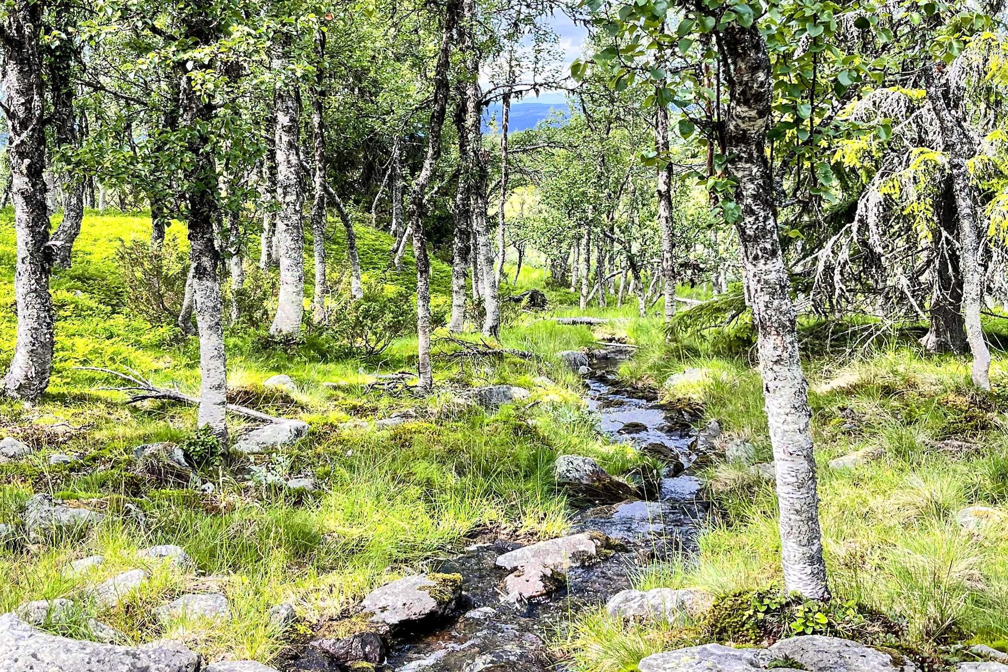 4 etoiles maison de vacances a gol - Non tagué