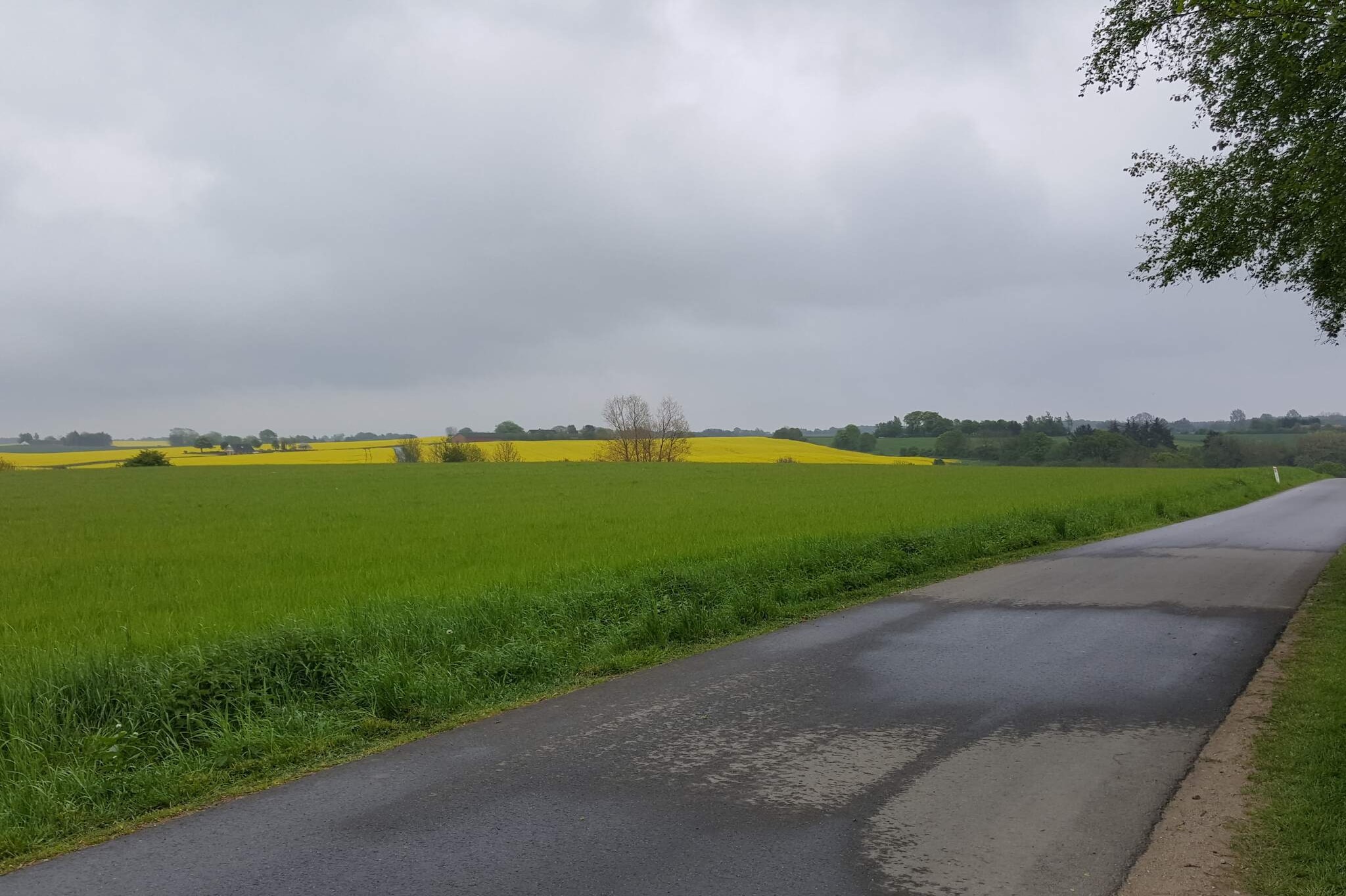 4 sterren vakantie huis in Hornsyld - Niet-getagd