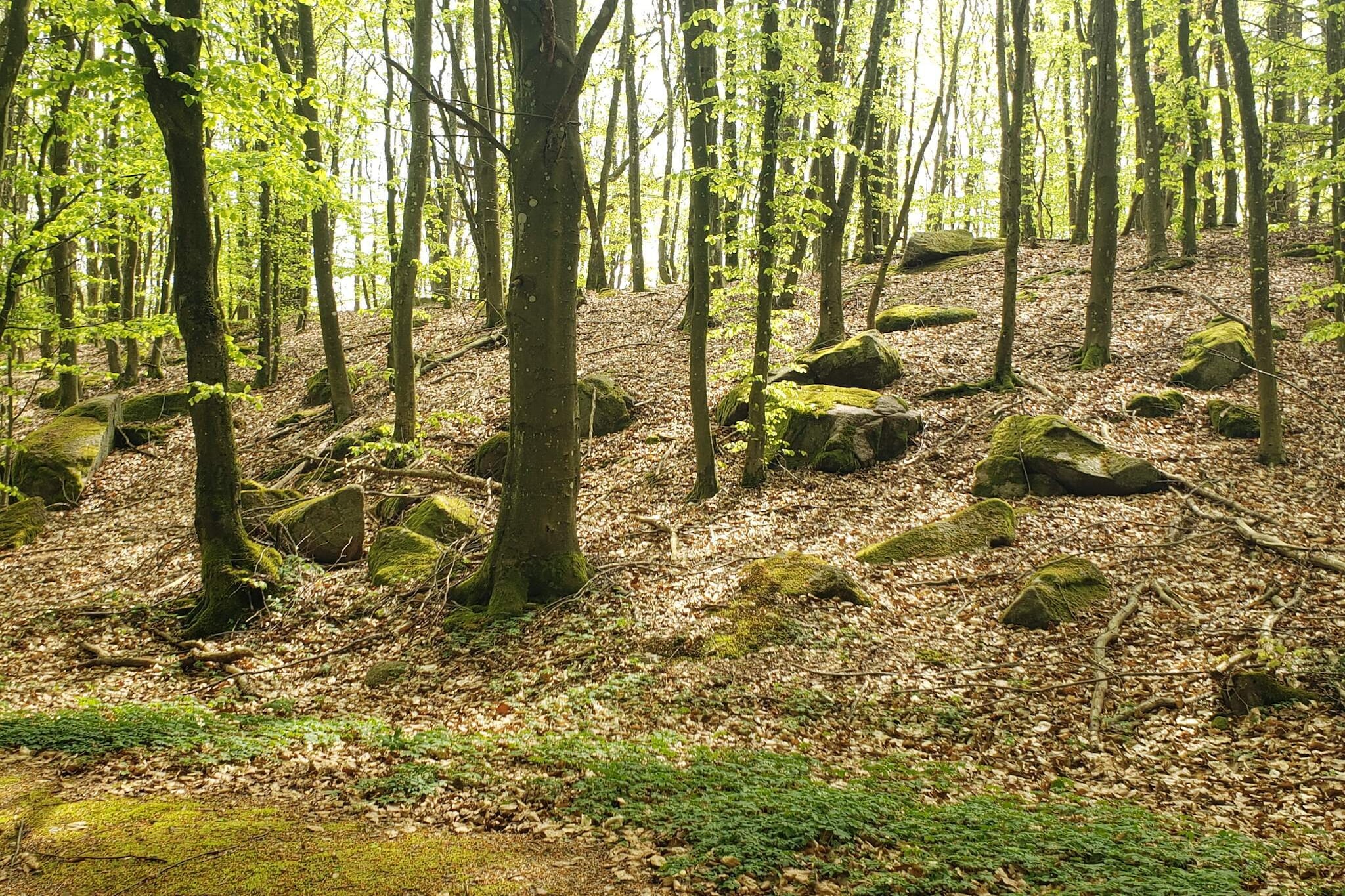 5 Personen vakantie huis in Rønne-Niet-getagd