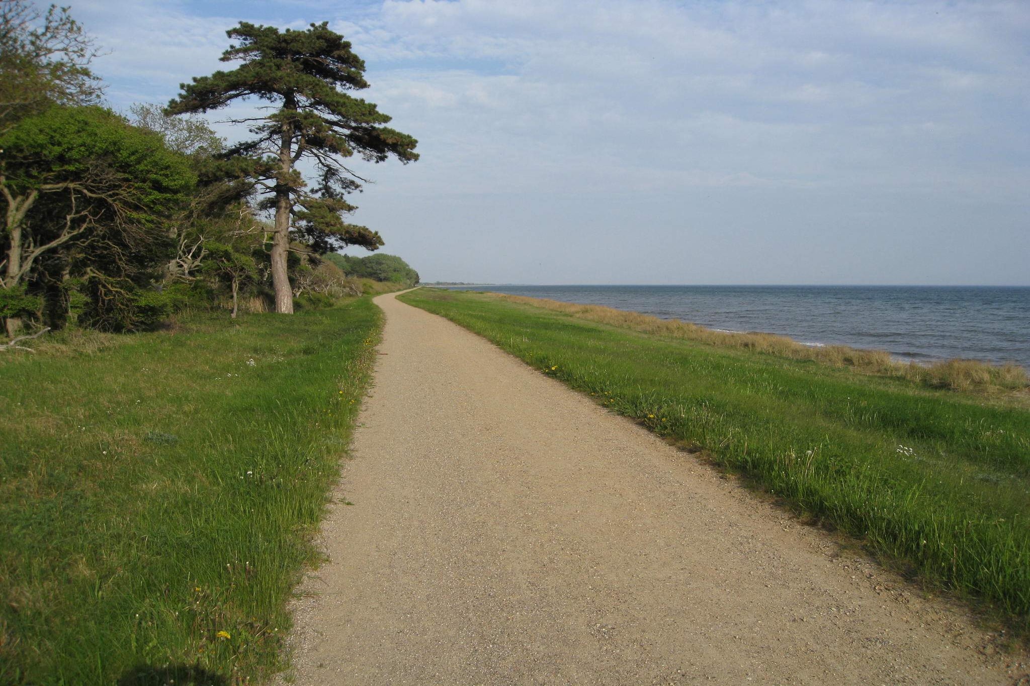 6 person holiday home in Dannemare