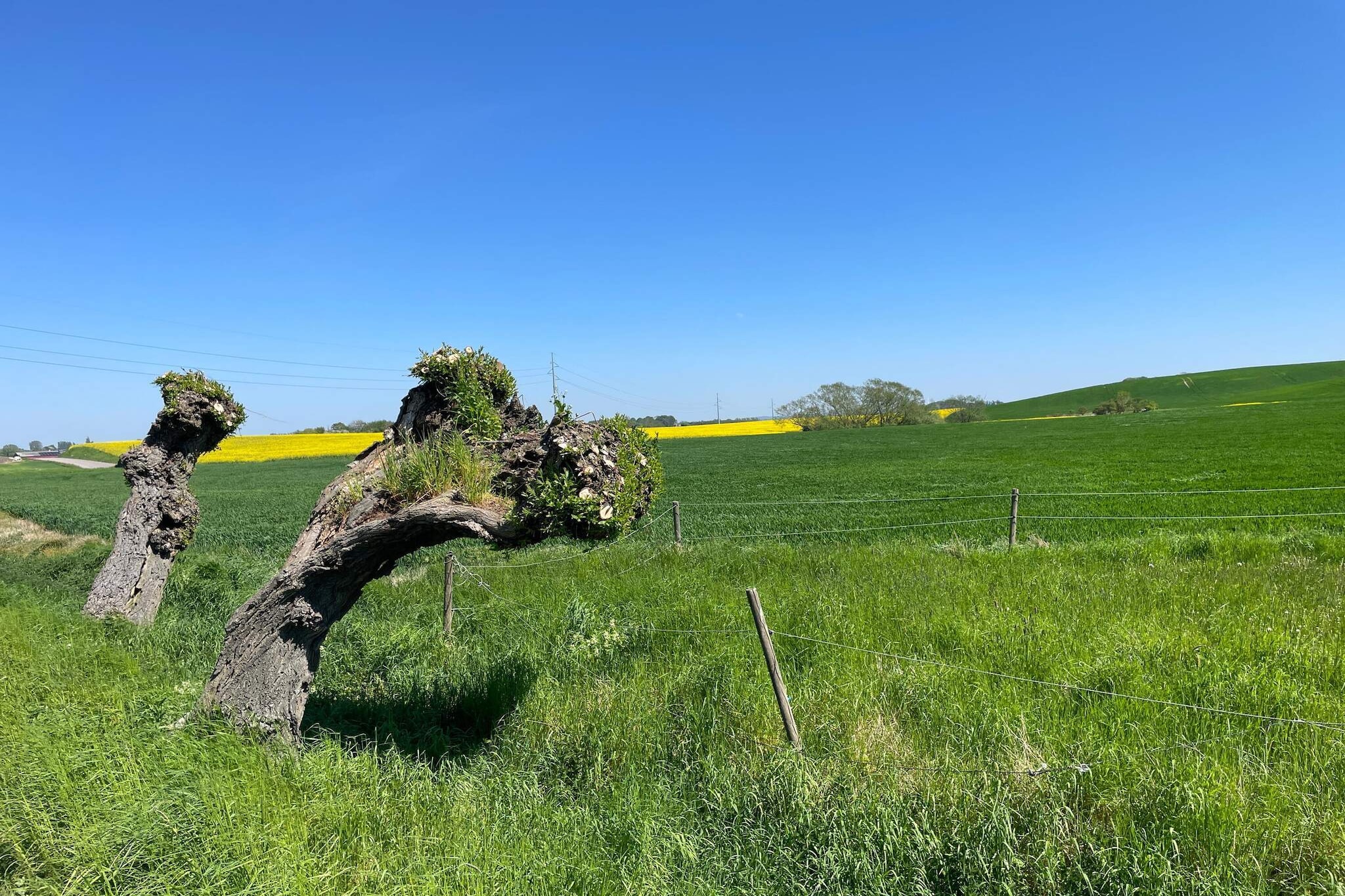 4 star holiday home in SKIVART