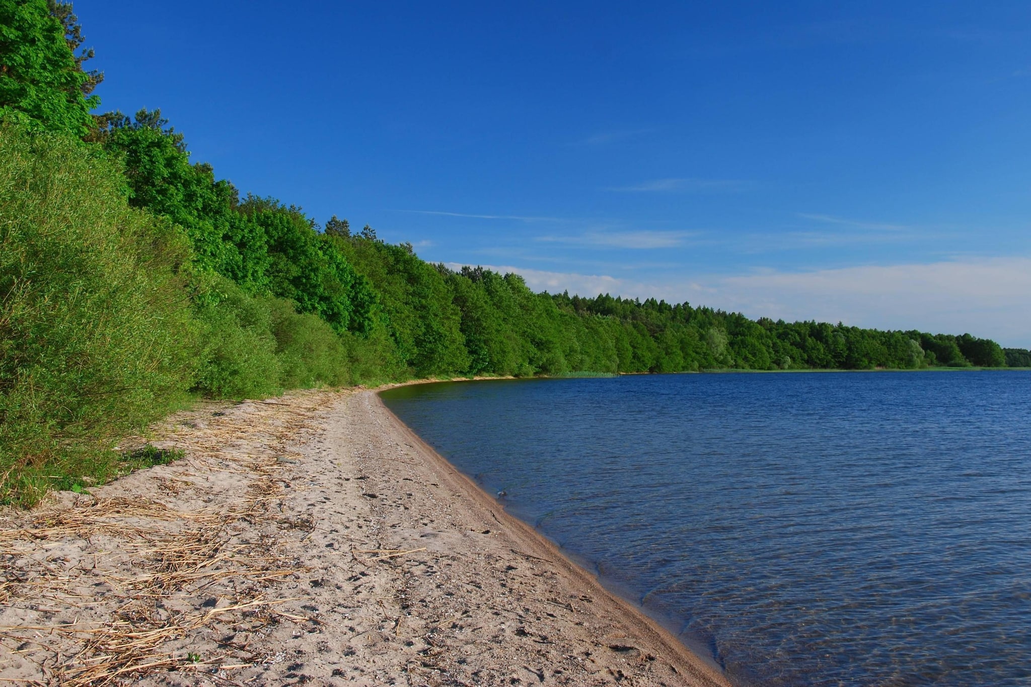 Domek wakacyjny LAWENDA dla max 6 osób Grąbczyn - Zones été à 5 km