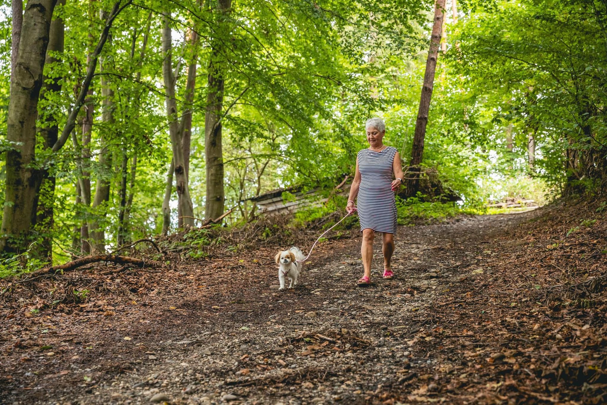 Hikers pitch - Gebieden zomer 1km