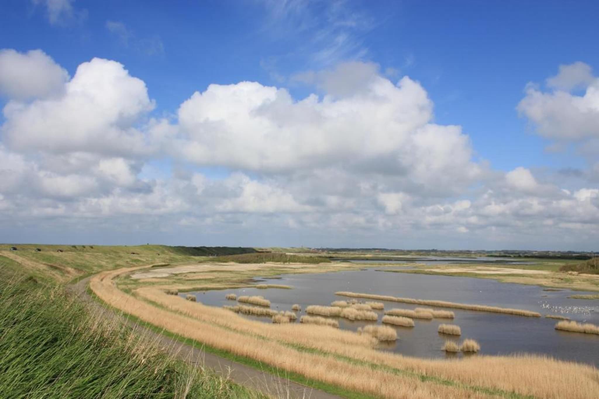 Huisje huren in Zeeland  De Strandloper Westkapelle - Charley Tooropstraat 1a  Strand & Natuur-Gebieden zomer 5km