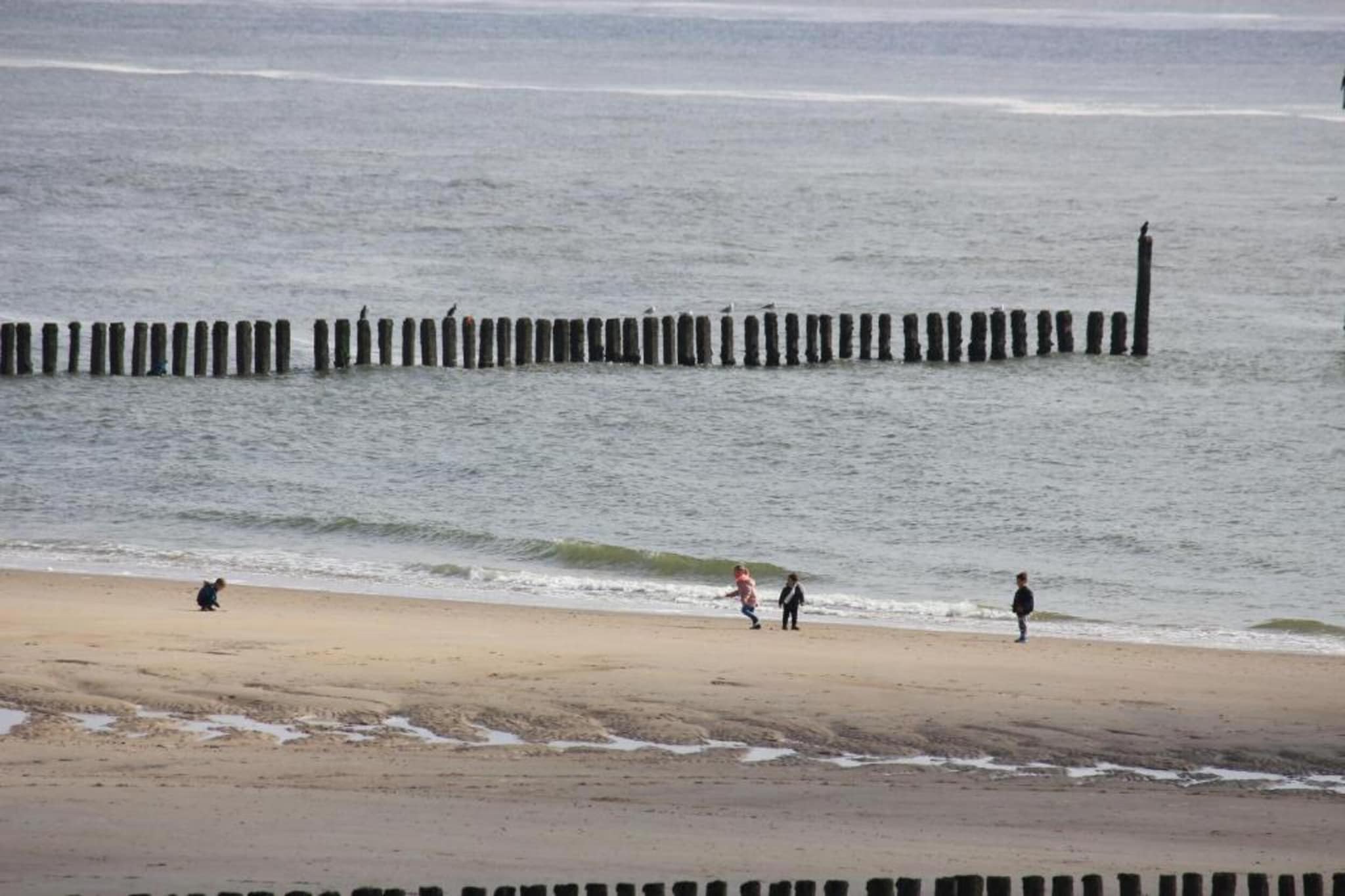 Huisje huren in Zeeland  De Strandloper Westkapelle - Charley Tooropstraat 1a  Strand & Natuur-Gebieden zomer 5km