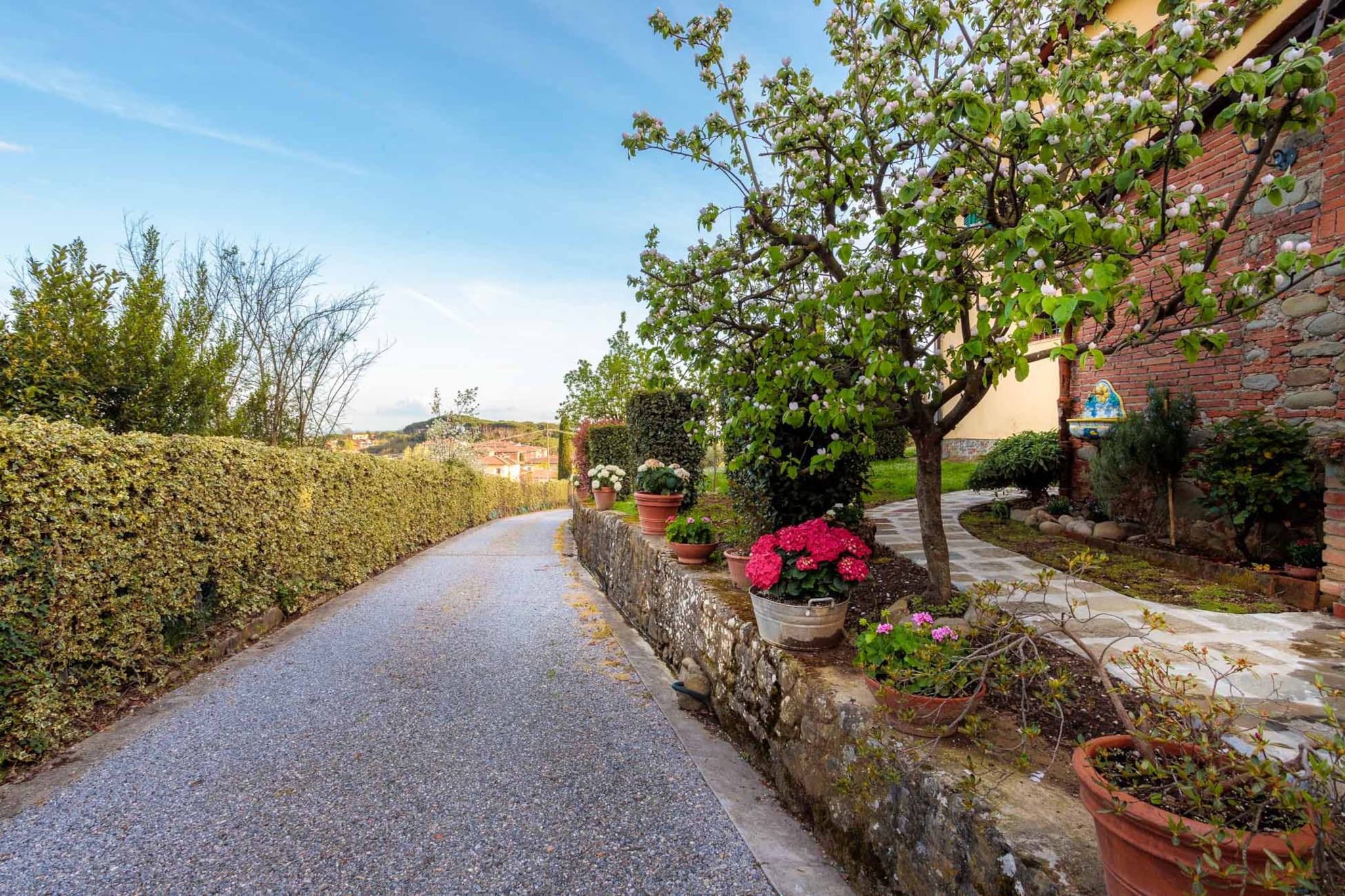 Rosyabate Cottage-Niet-getagd