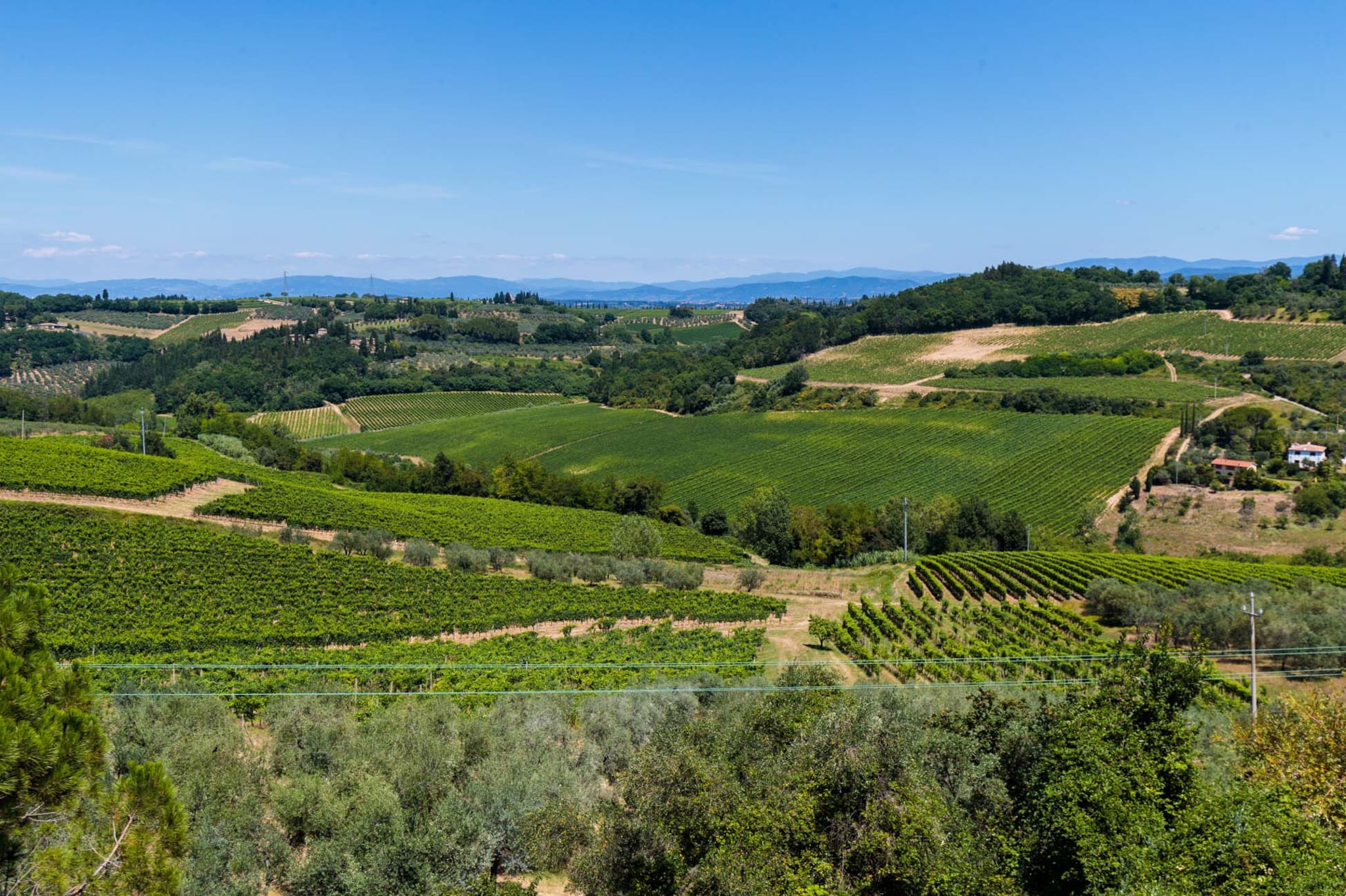 Villa Chianti-Areas summer 1km